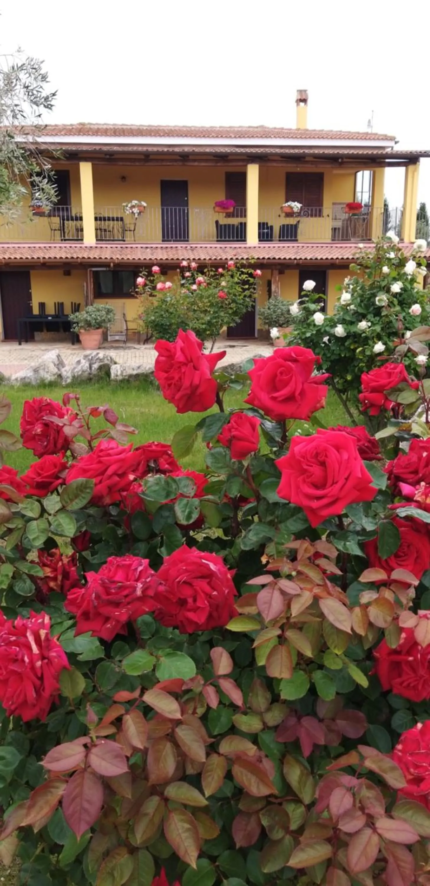 Villa Sorrentina