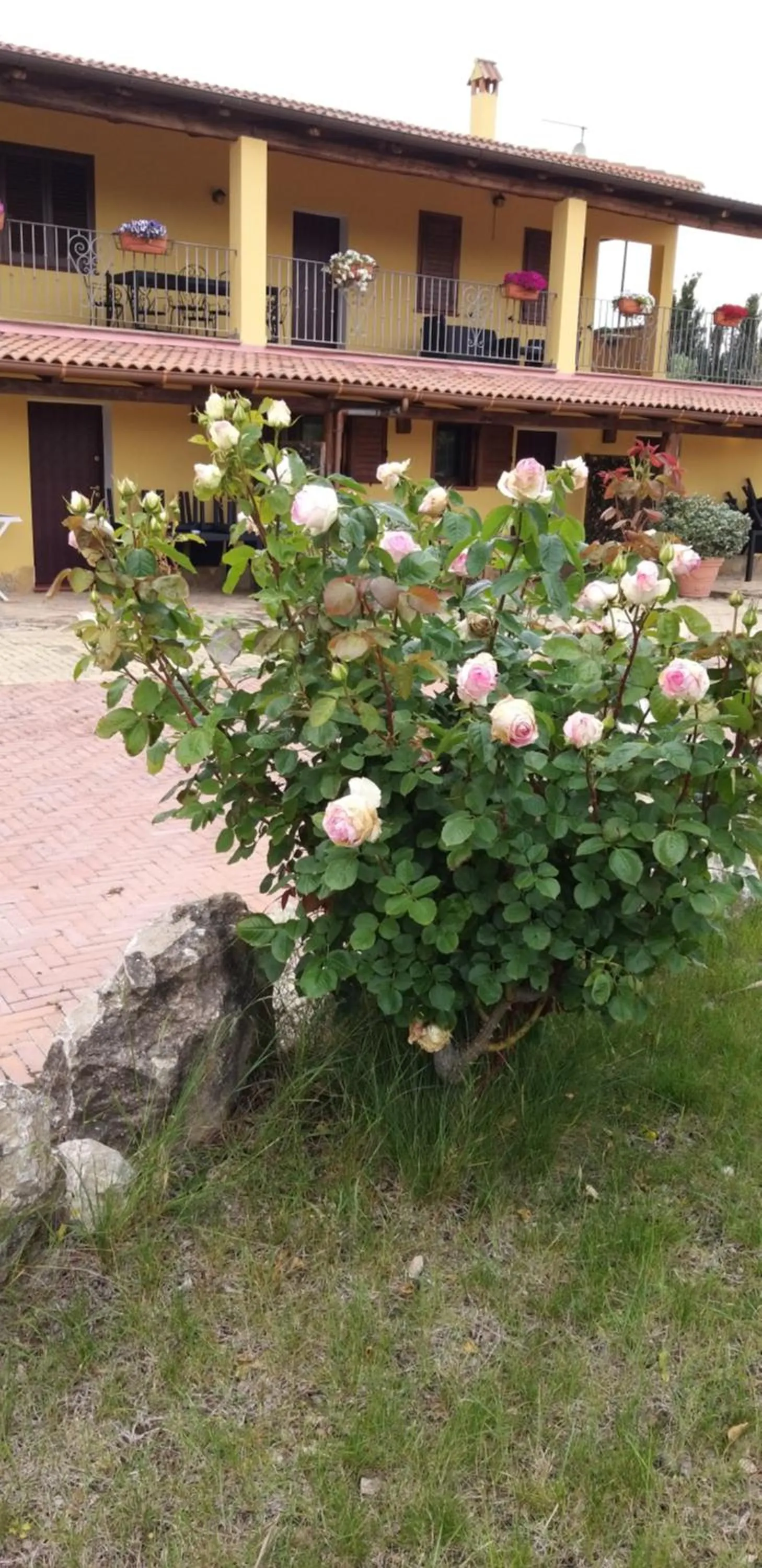 Villa Sorrentina