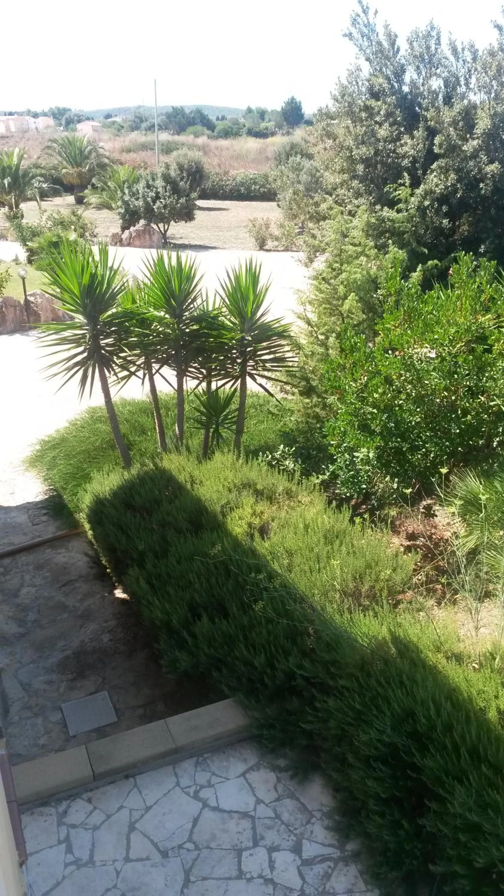 Bird's eye view in Villa Sorrentina