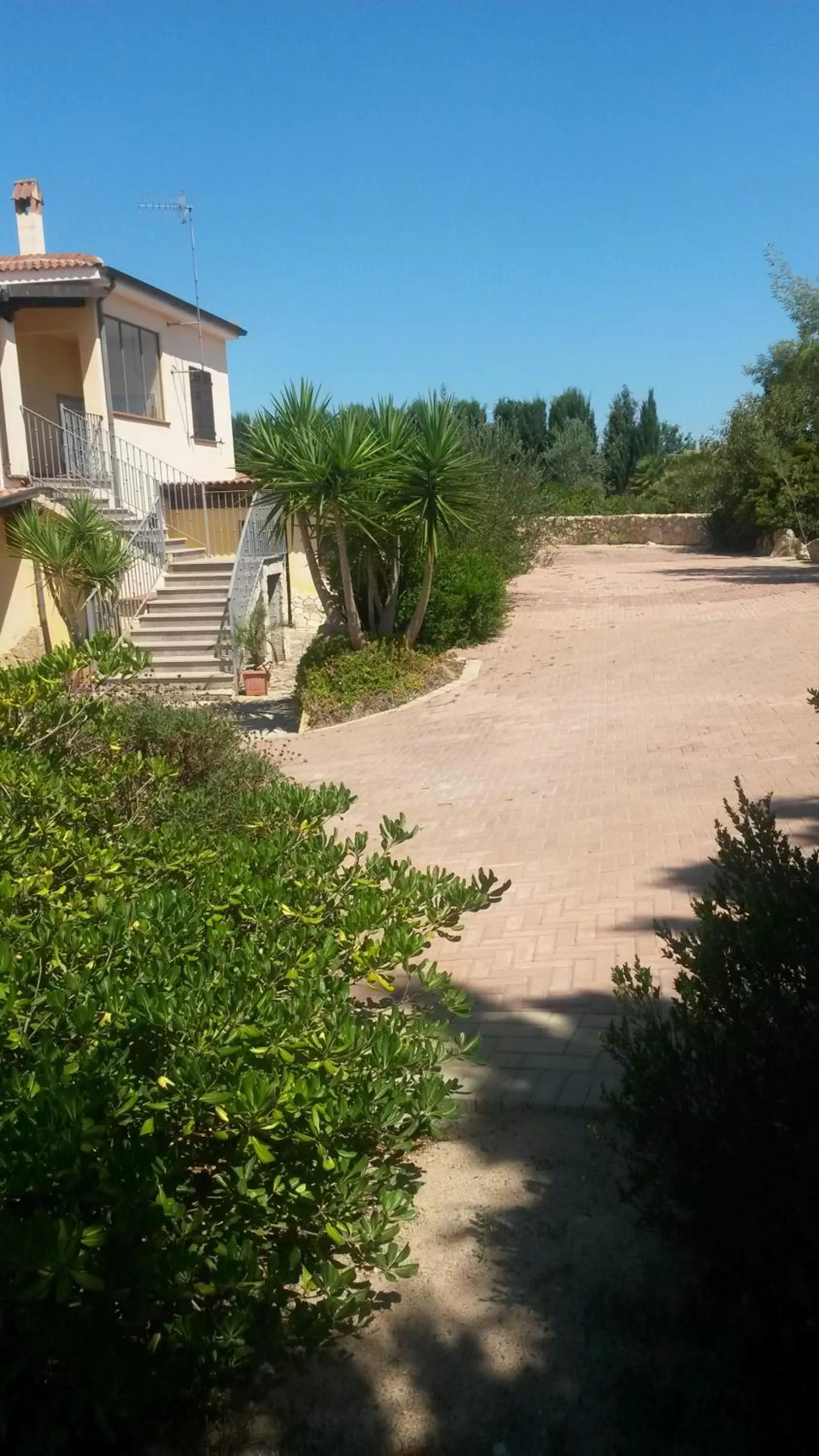Garden in Villa Sorrentina