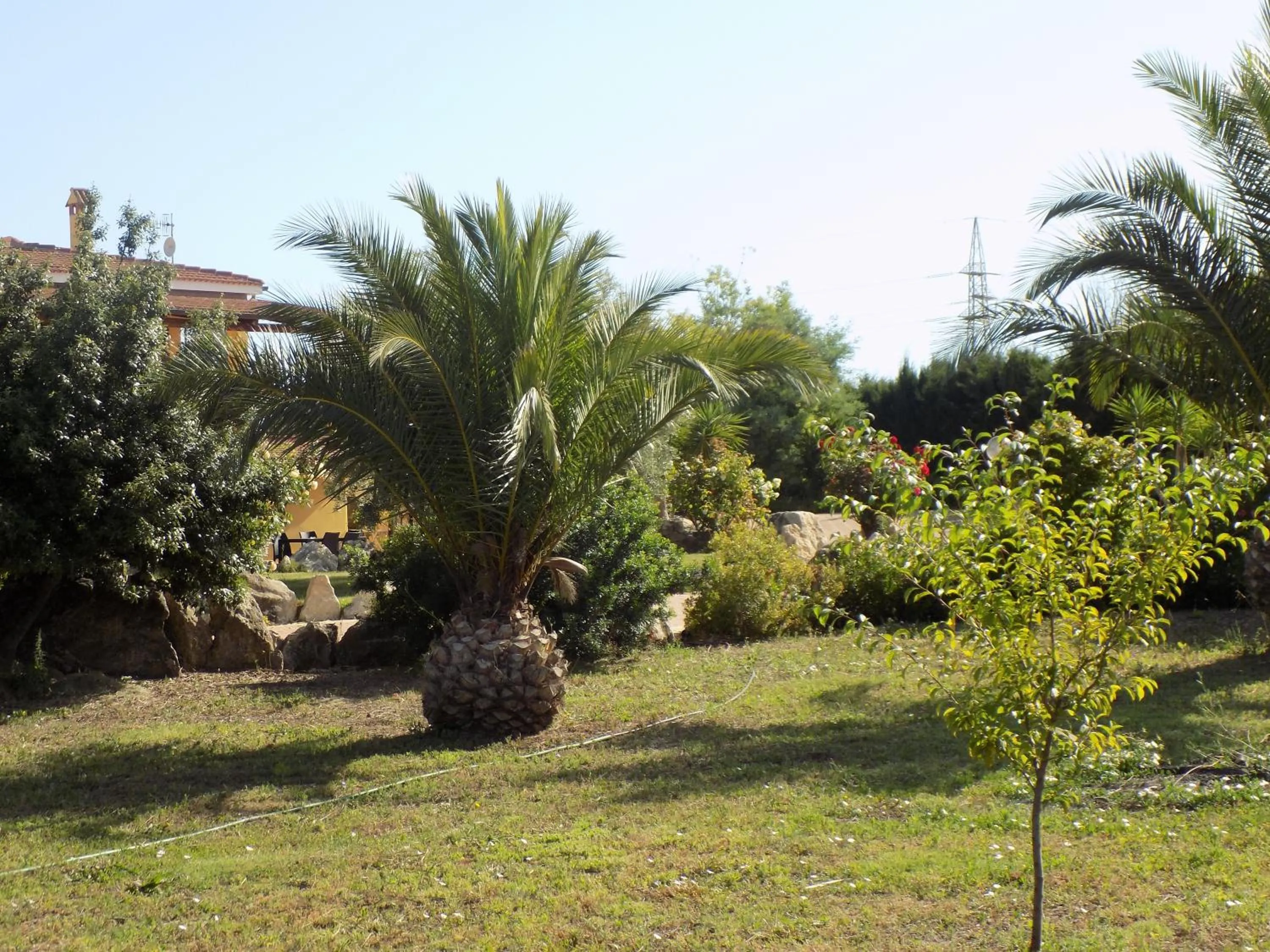 Property building in Villa Sorrentina