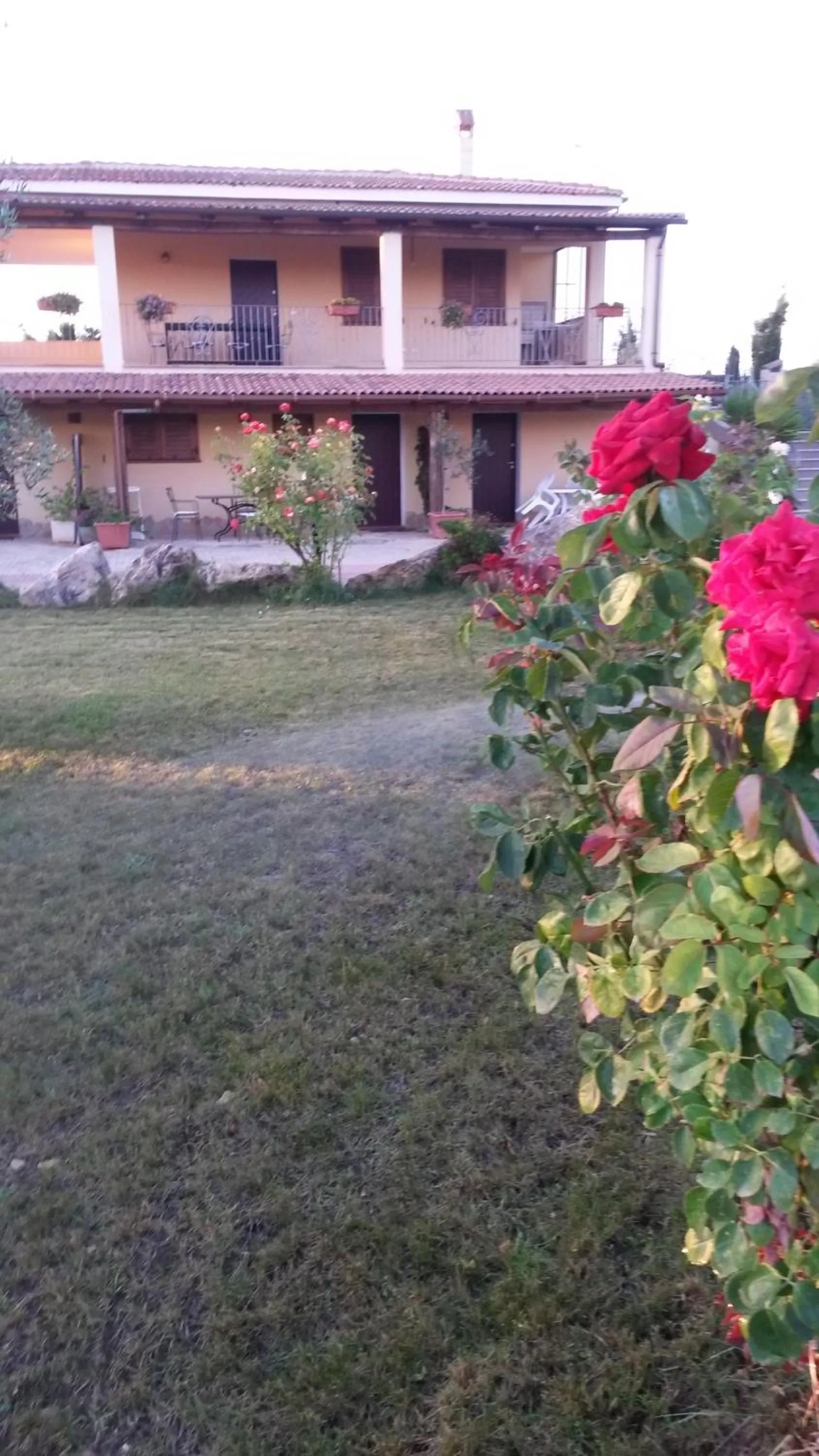 Garden in Villa Sorrentina
