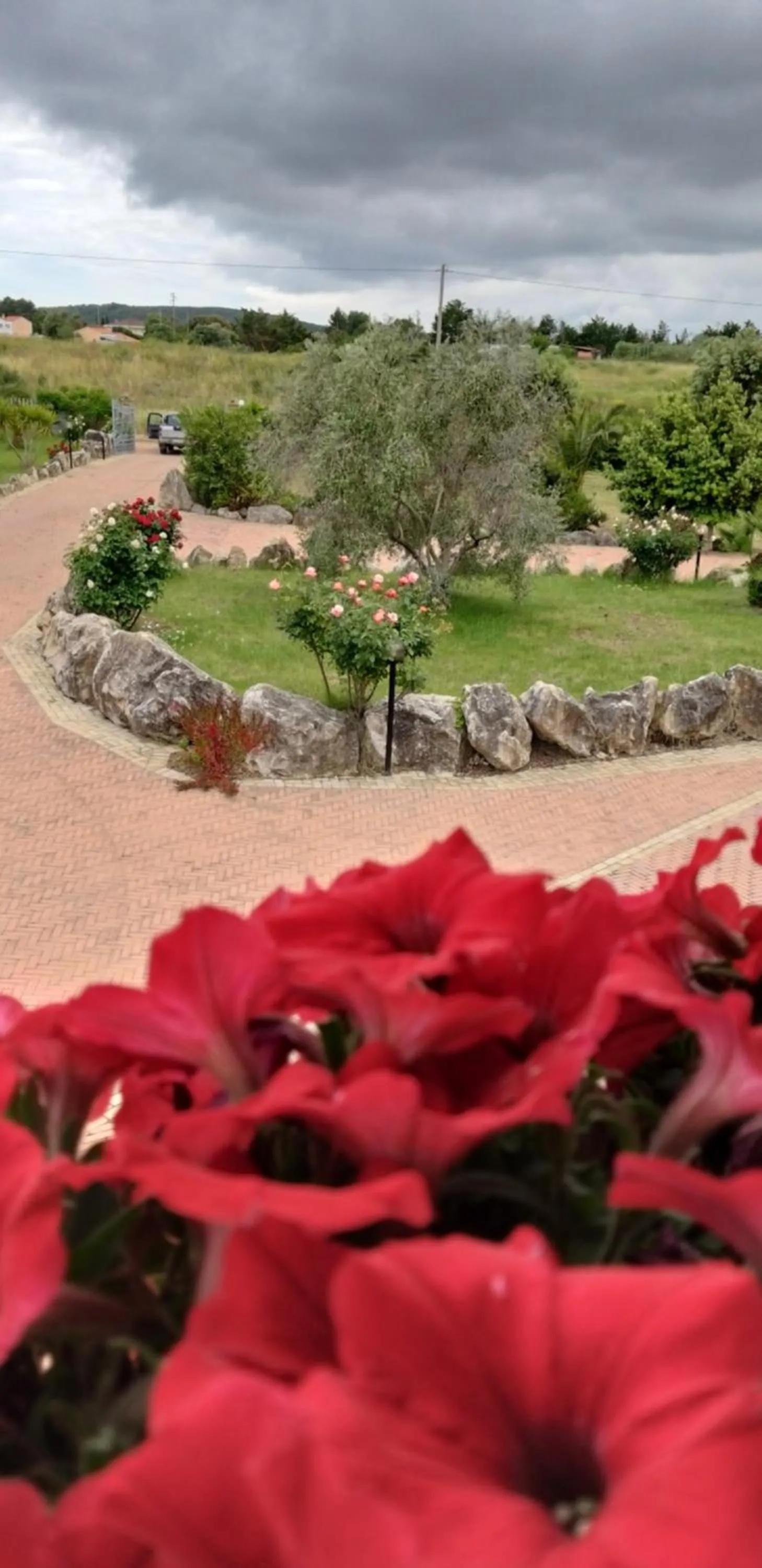 Garden in Villa Sorrentina