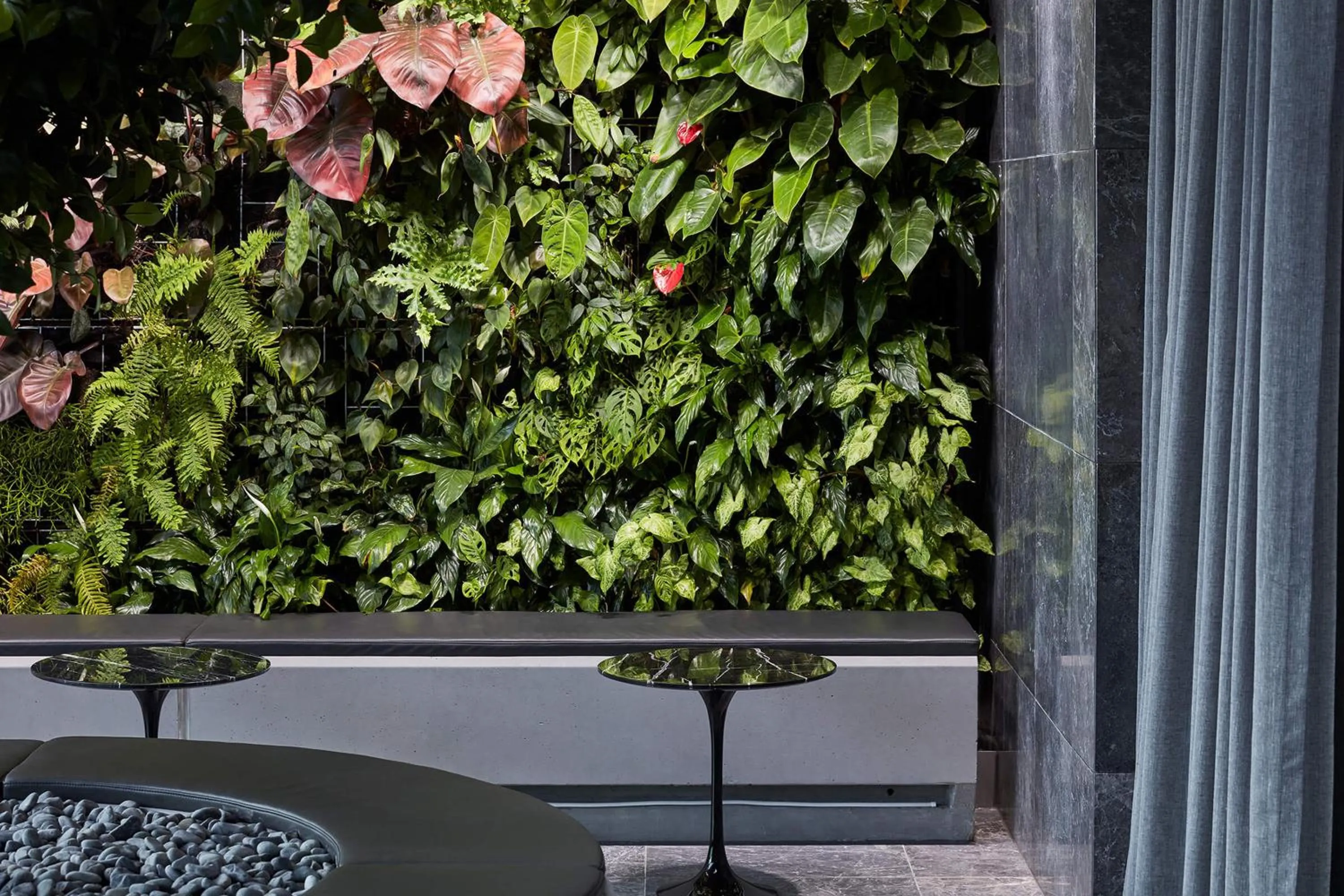 Garden in Shadow Play by Peppers