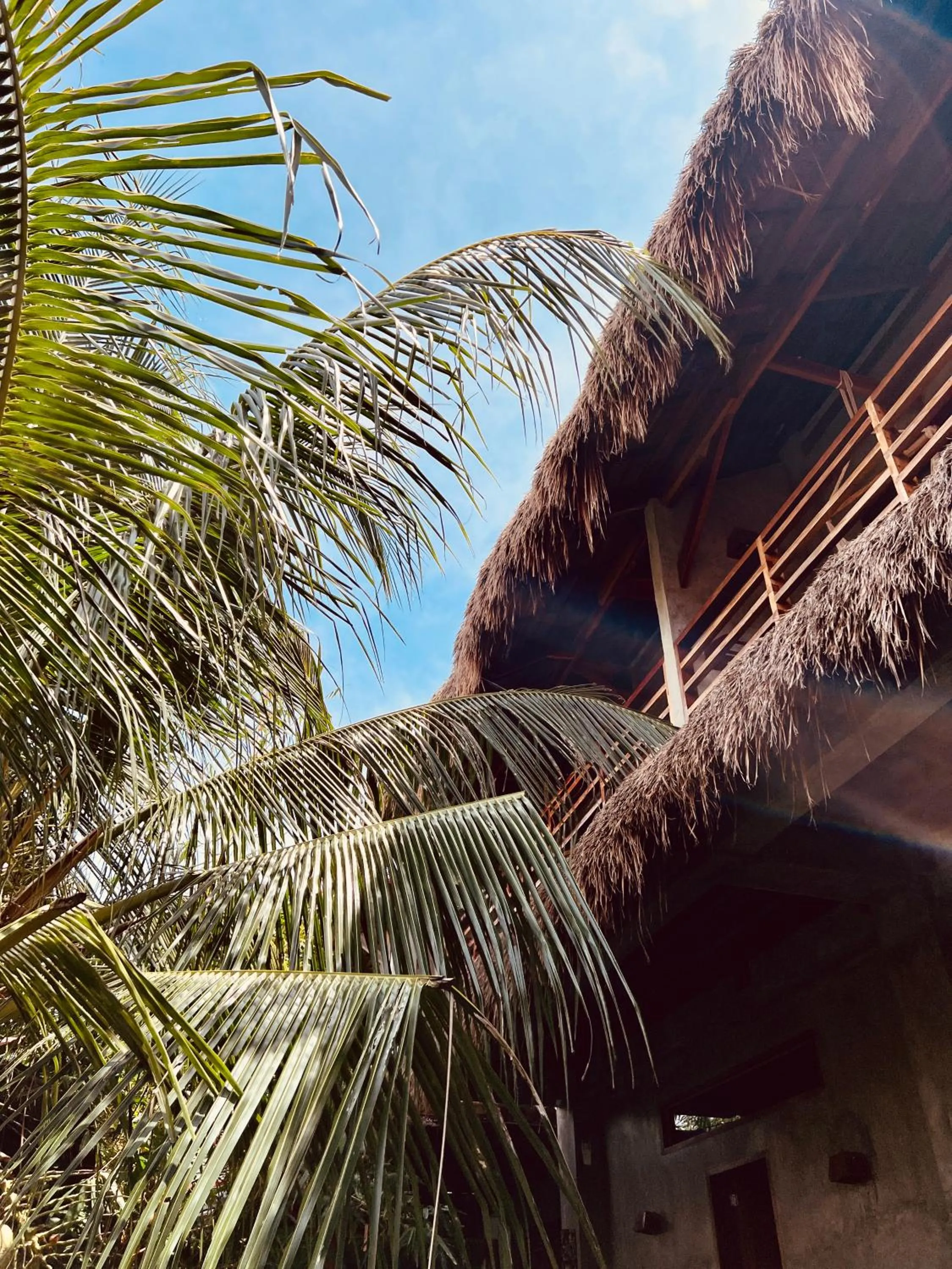 Property building in Chief Mau Moalboal Cebu