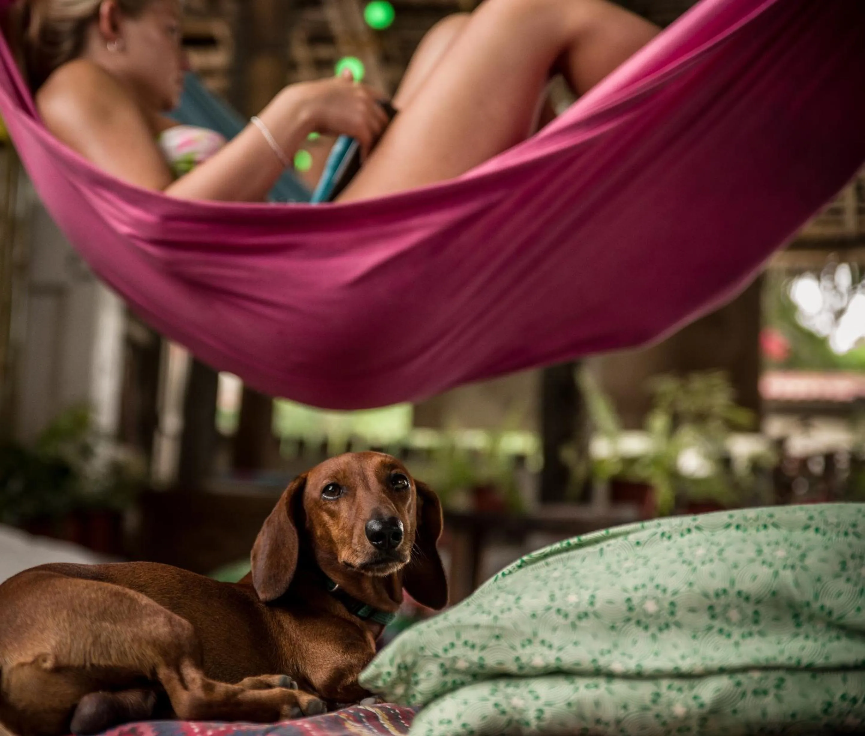 Chief Mau Moalboal Cebu