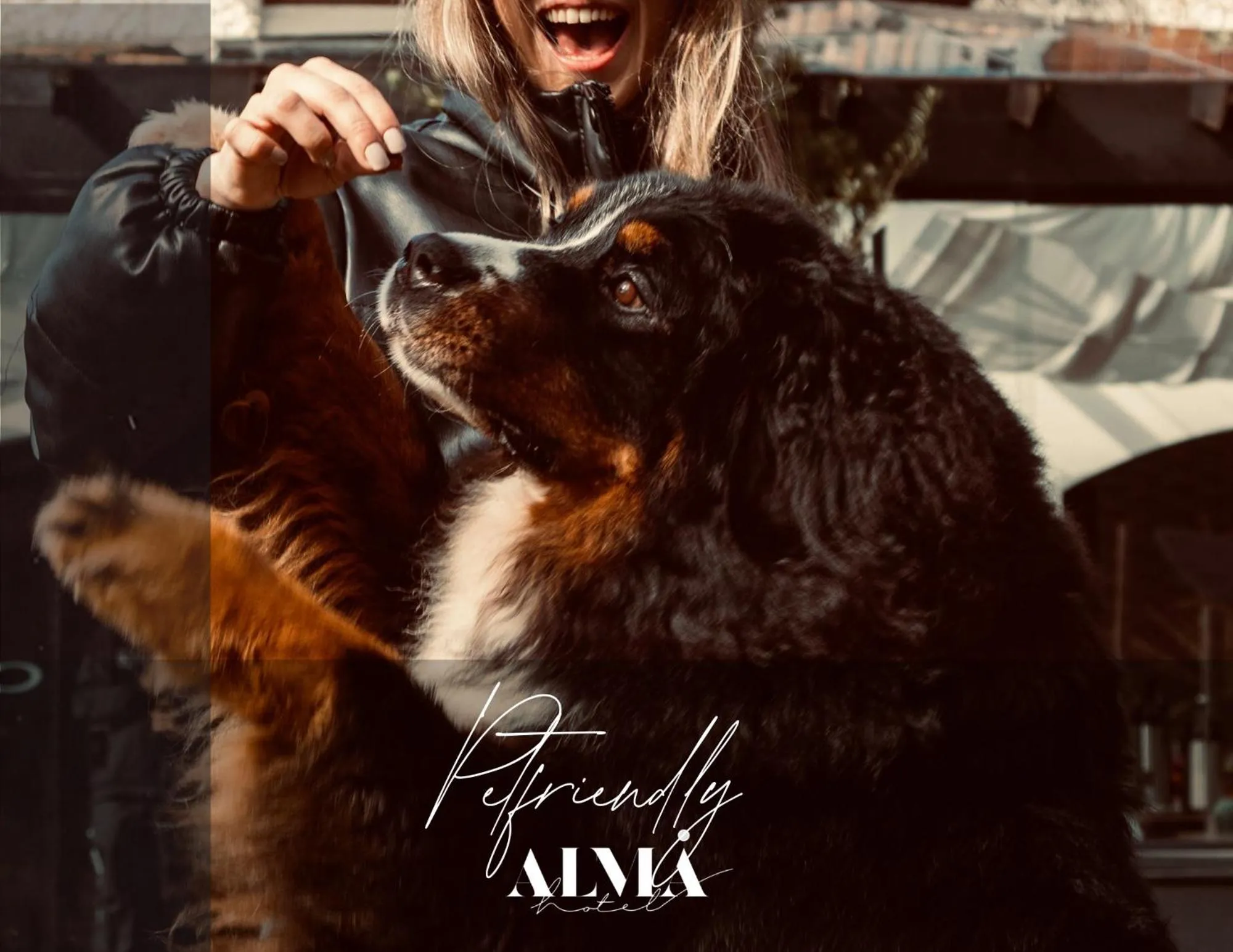 pet friendly in Alma Hotel