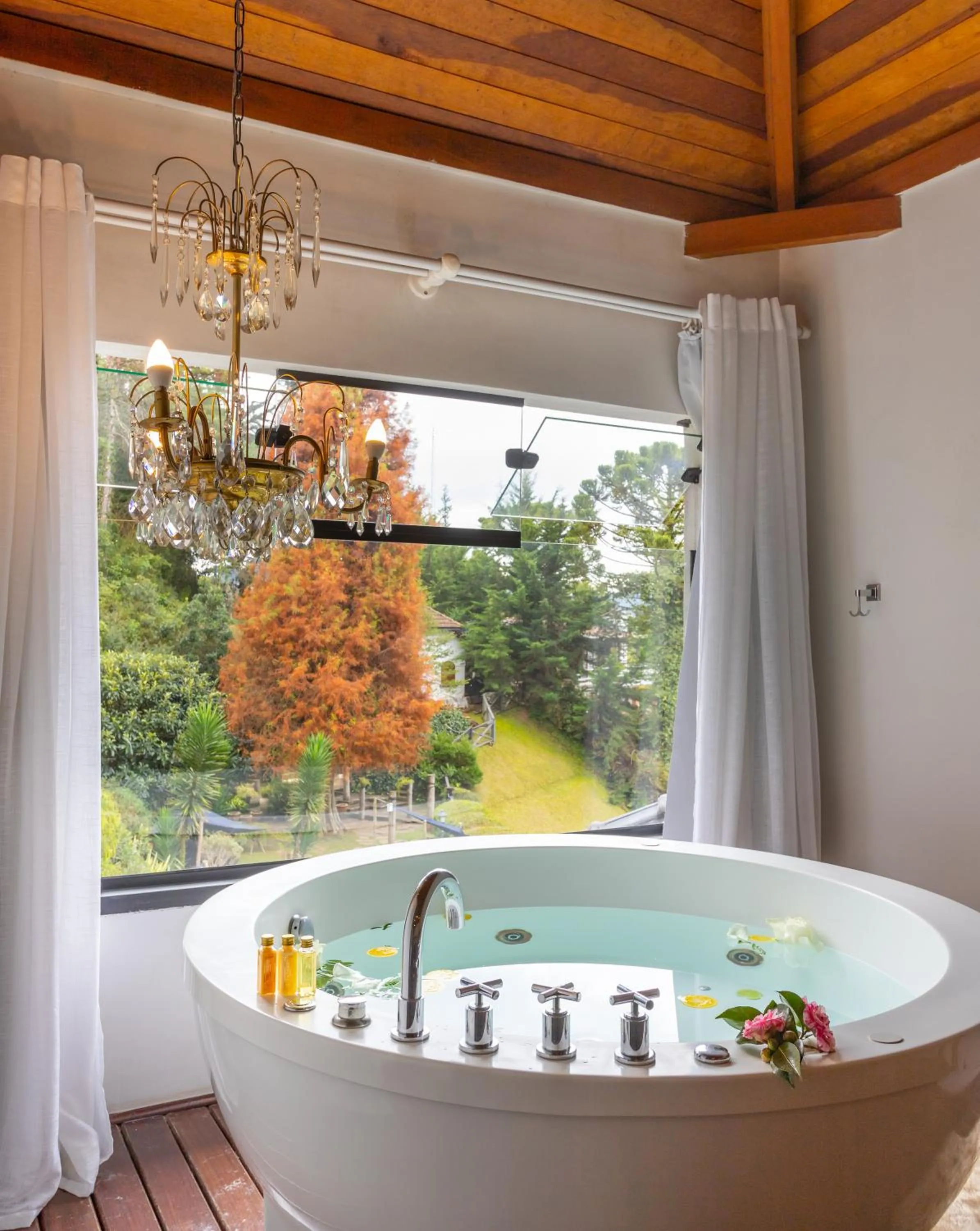 View (from property/room) in Alma Hotel