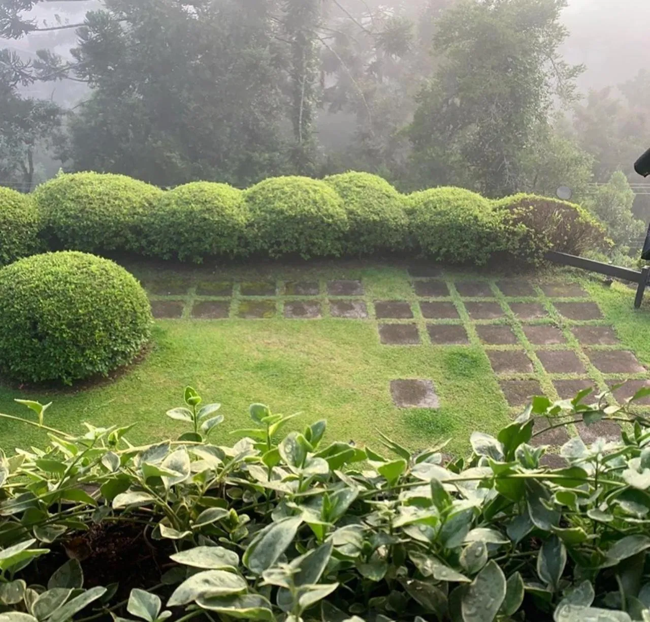 Natural landscape in Alma Hotel