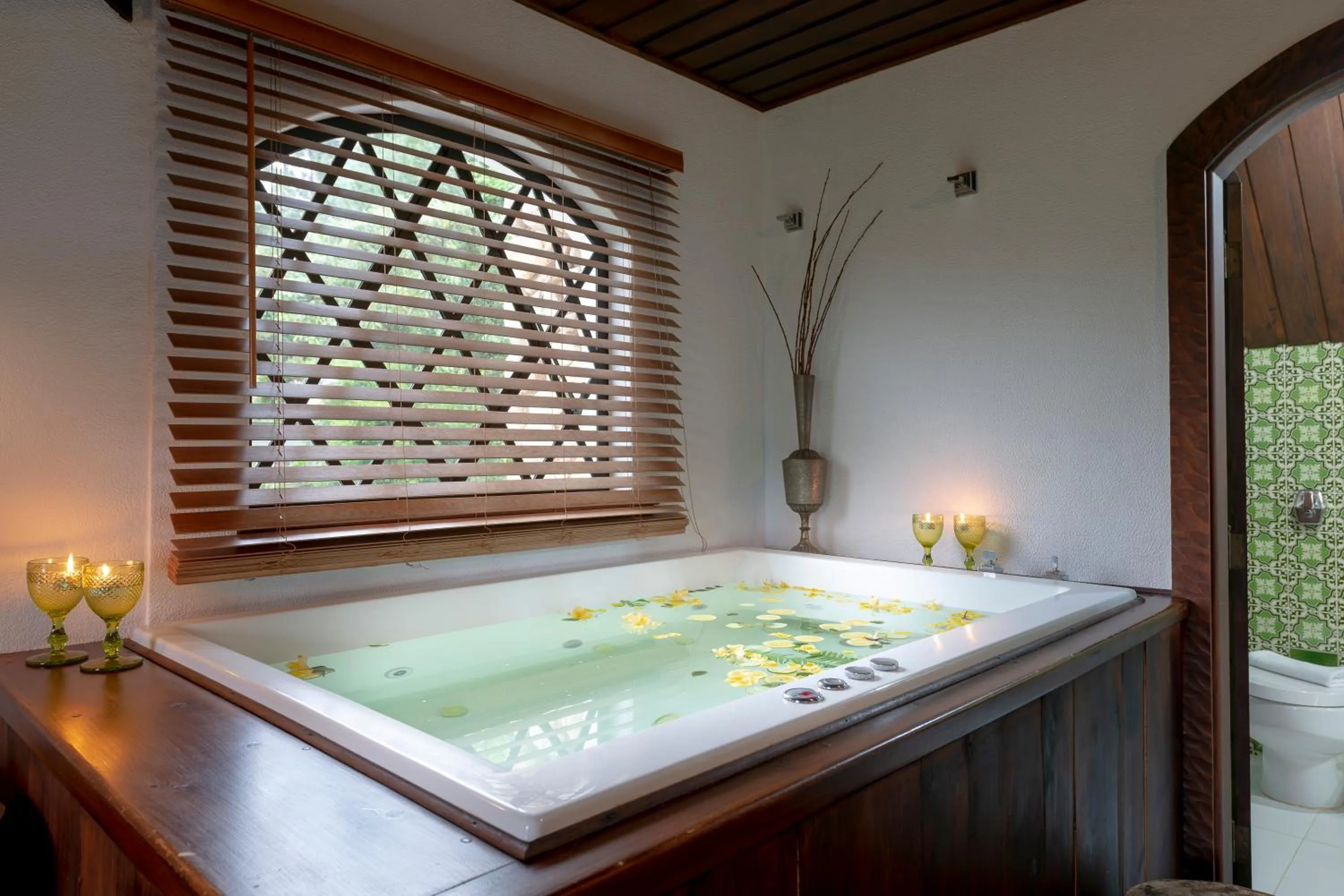 Hot Tub in Alma Hotel