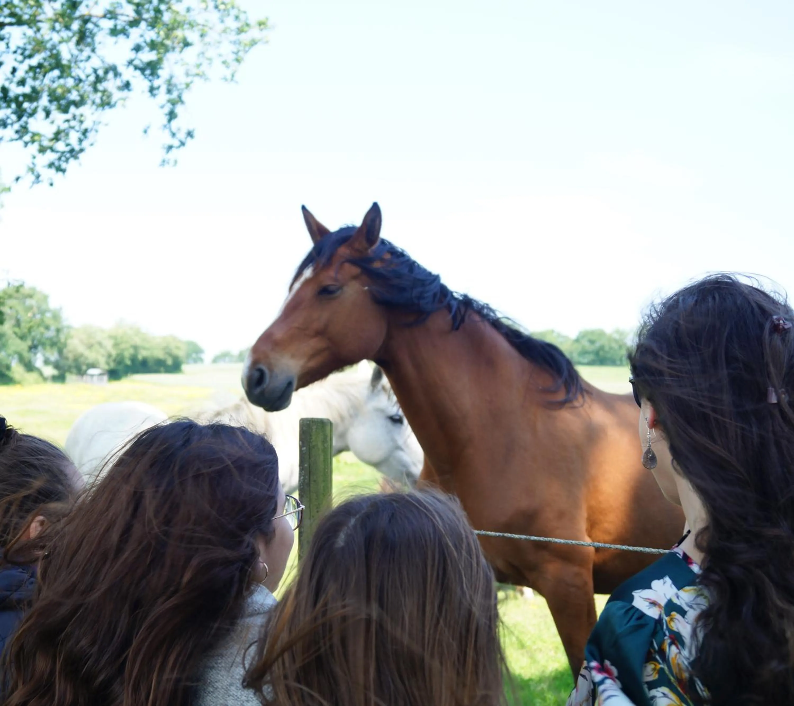 Horse-riding in Domaine Mélusine - à 2km du Puy duFou France !