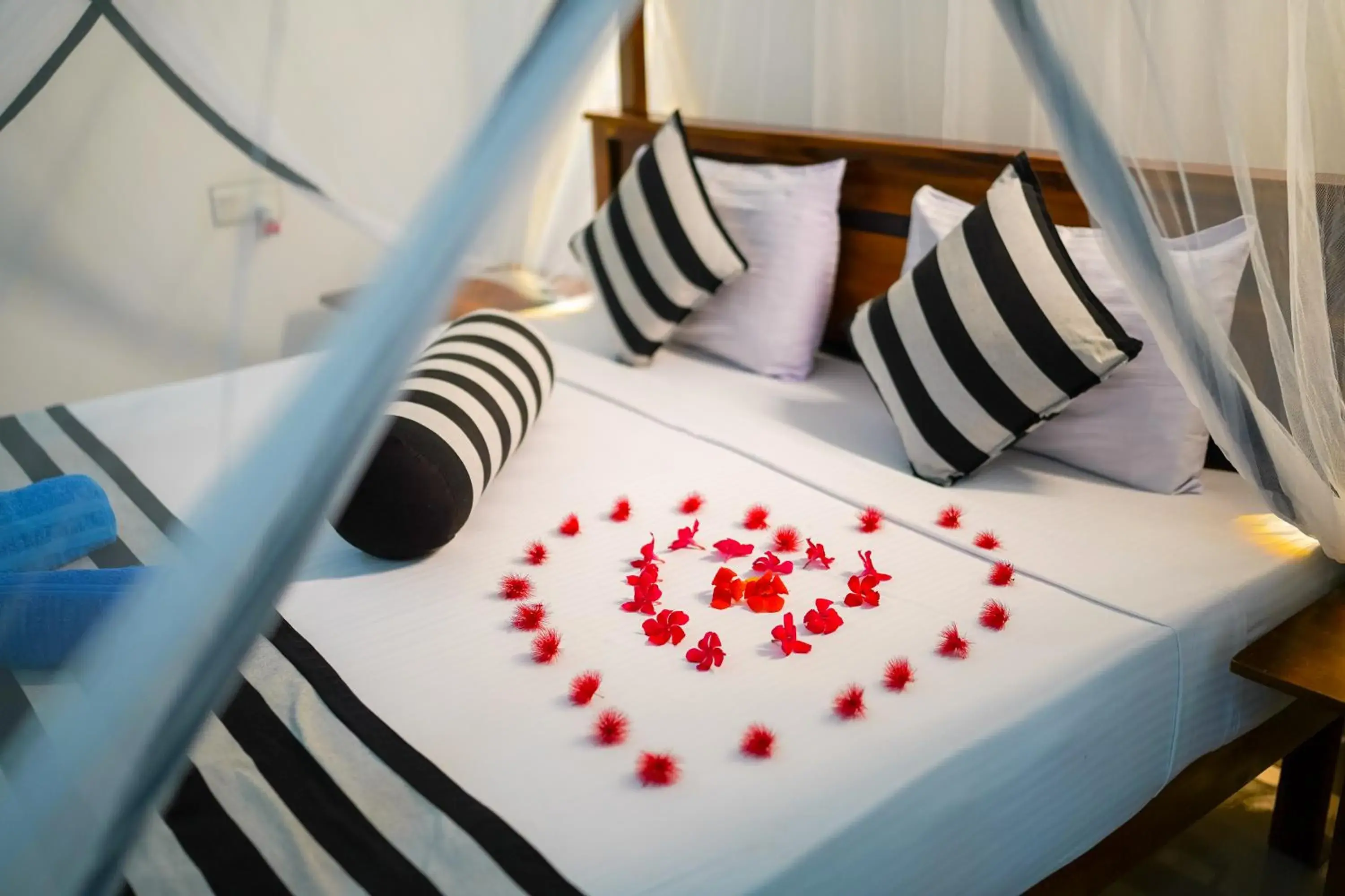 Double Room - single occupancy in Nice View Lodge Double Room - single occupancy in Nice View Lodge