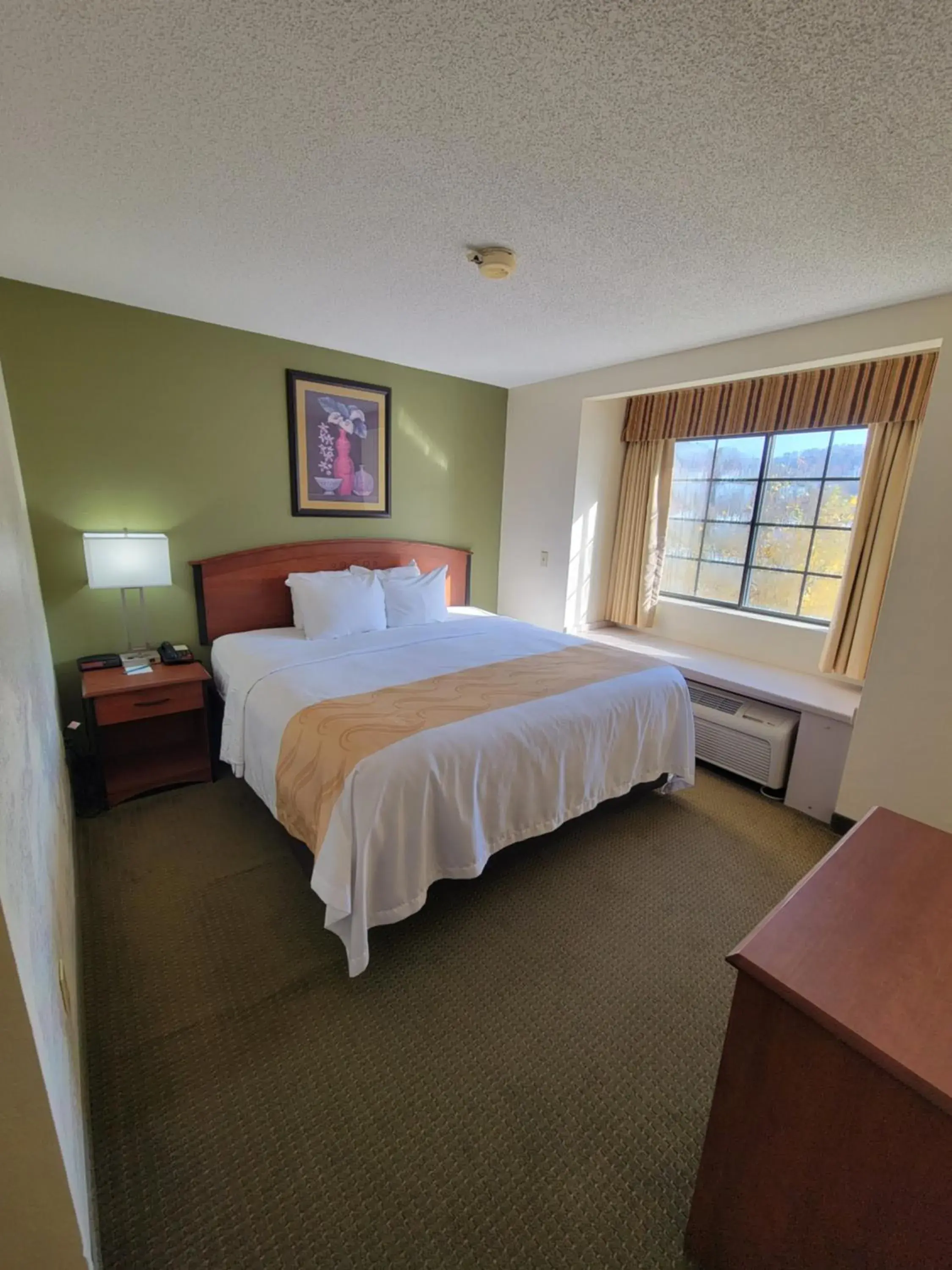 King Suite with Sofa Bed - Smoking in Quality Inn & Suites Prestonsburg next to Mountain Arts Center King Suite with Sofa Bed - Smoking in Quality Inn & Suites Prestonsburg next to Mountain Arts Center