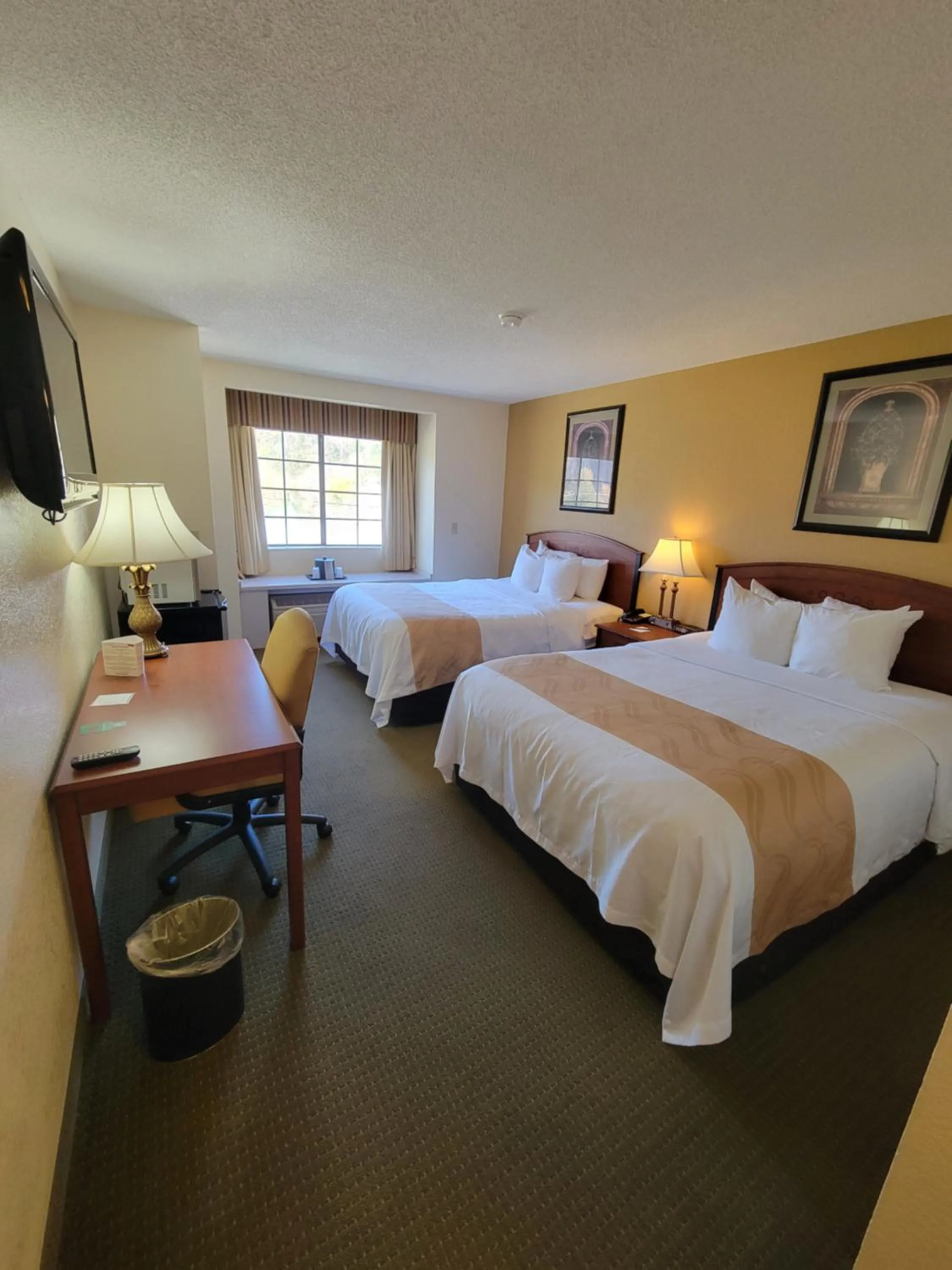 TV and multimedia, Bed in Quality Inn & Suites Prestonsburg next to Mountain Arts Center