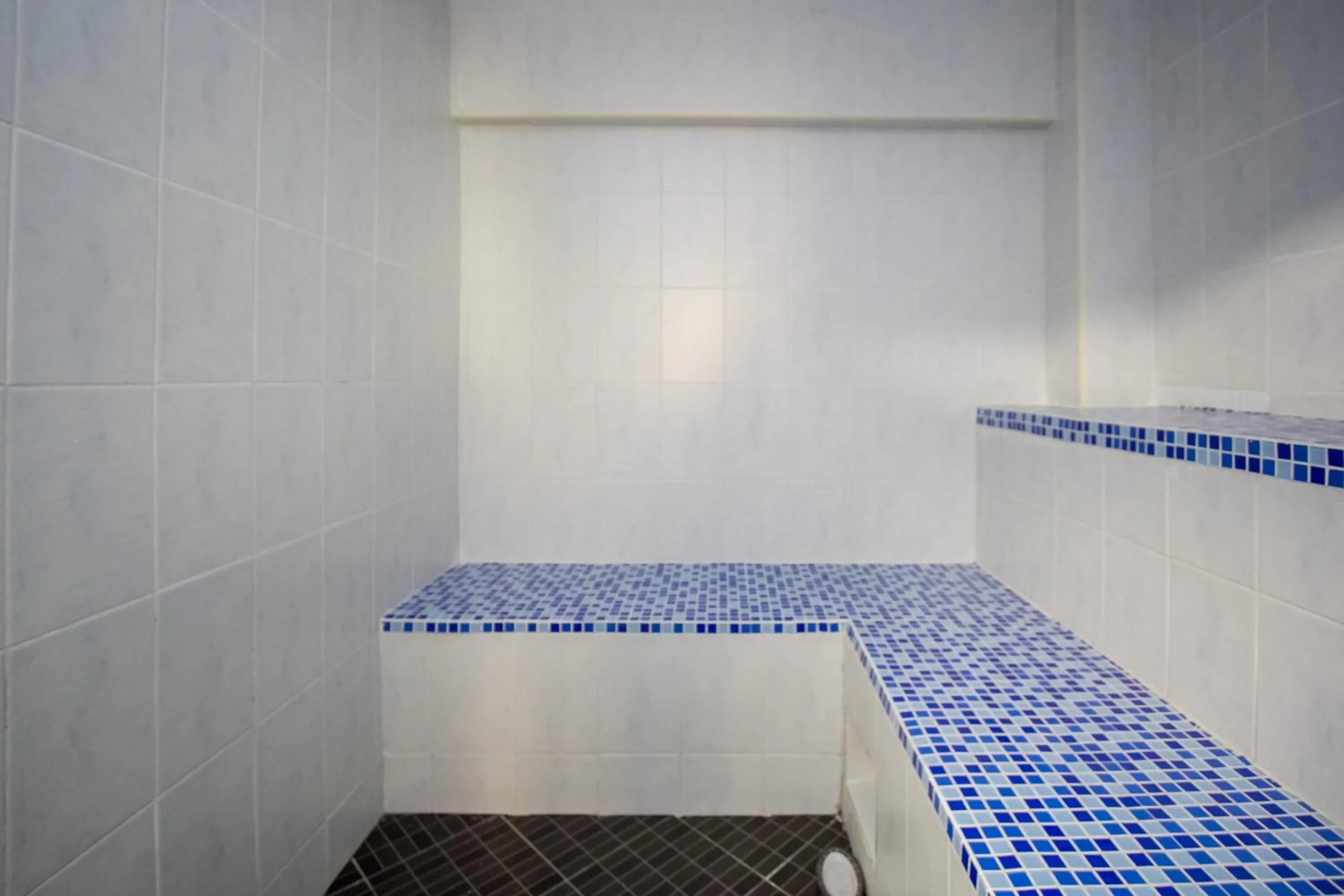 Steam room, Bathroom in Paleo Hotel and Spa