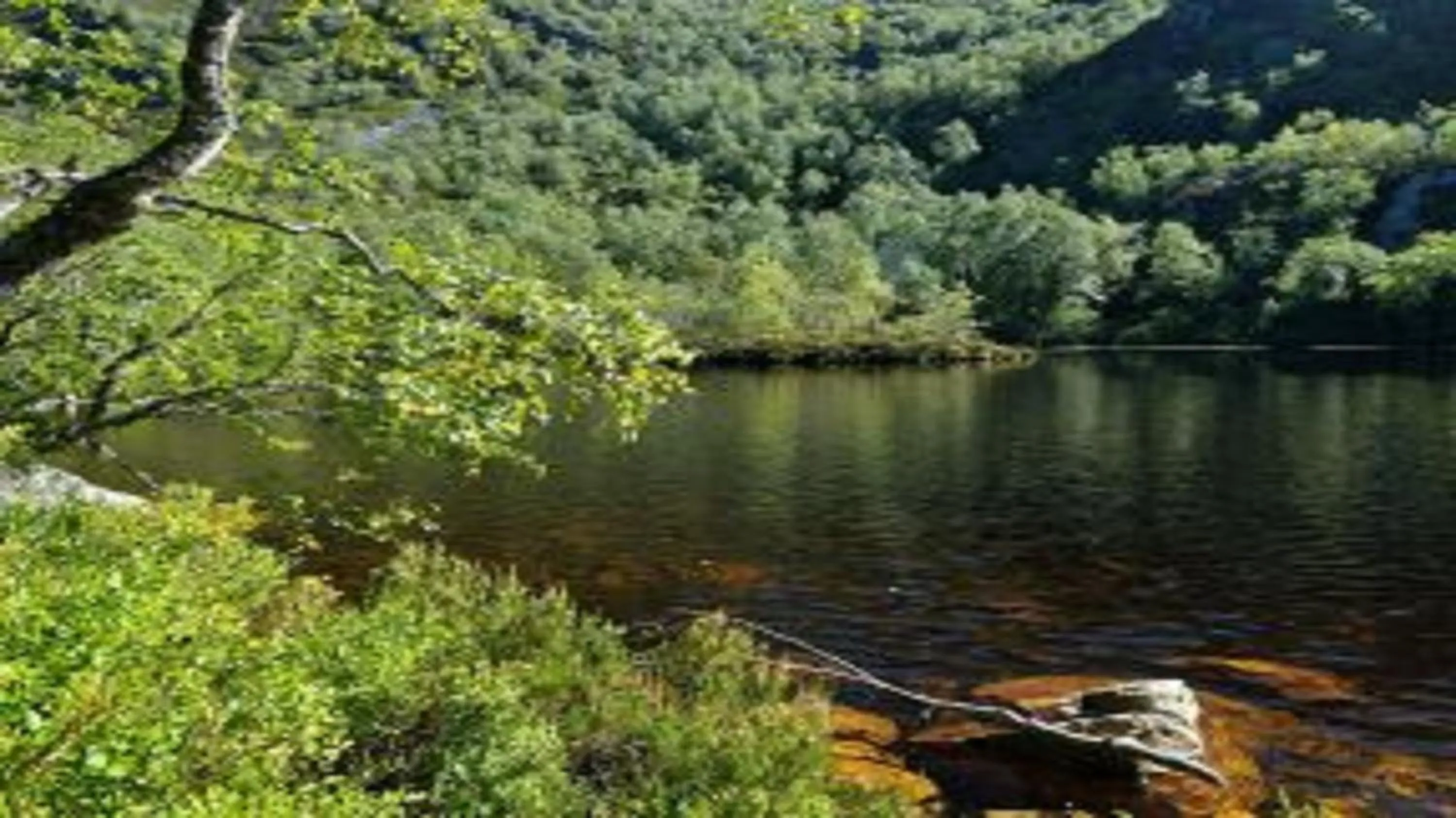 Natural landscape in Apartamentos Casa Rosendo