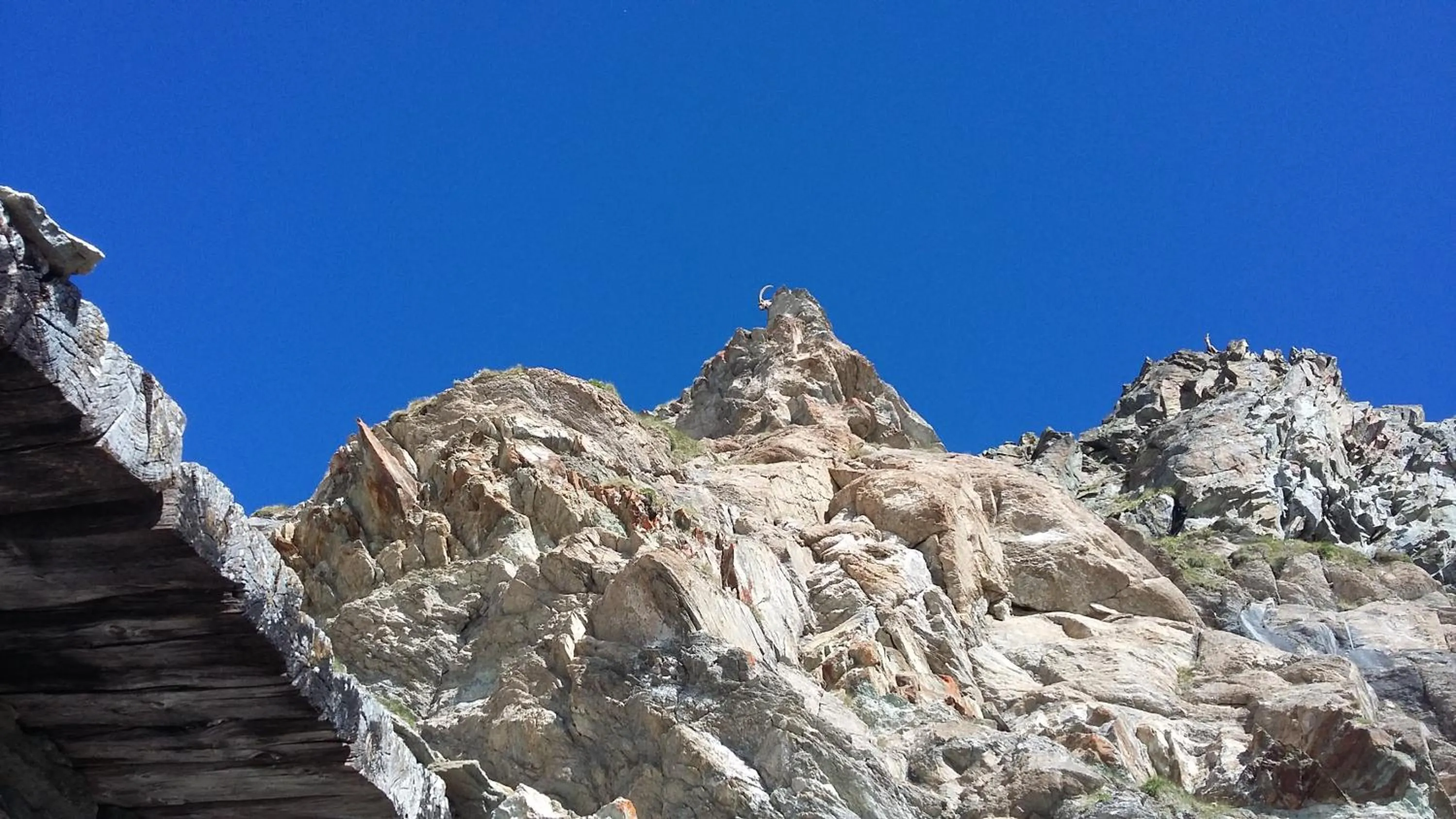 Albergo Castello da Bonino