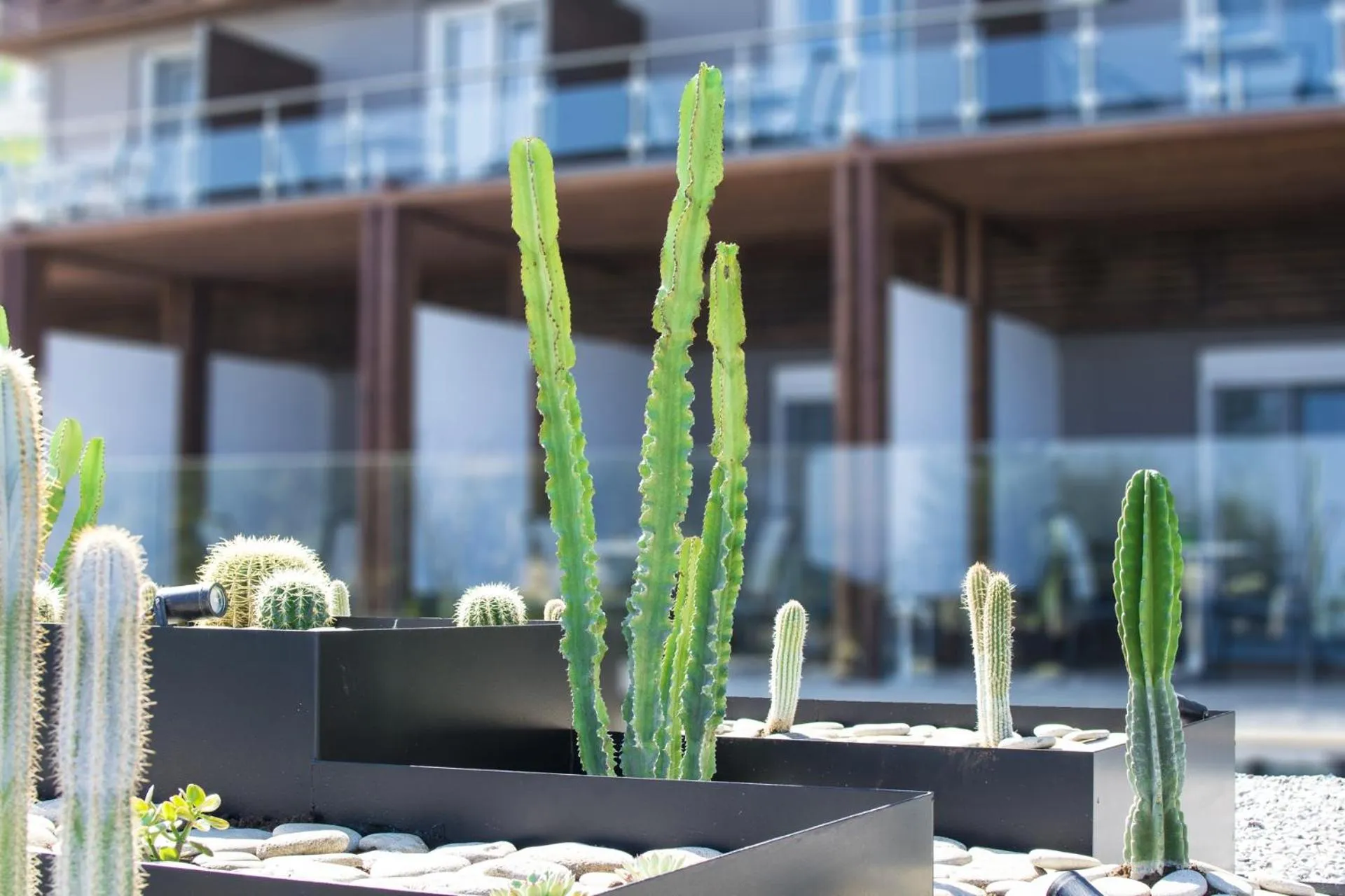 Decorative detail in Ionian Eye Design Studios & Spa