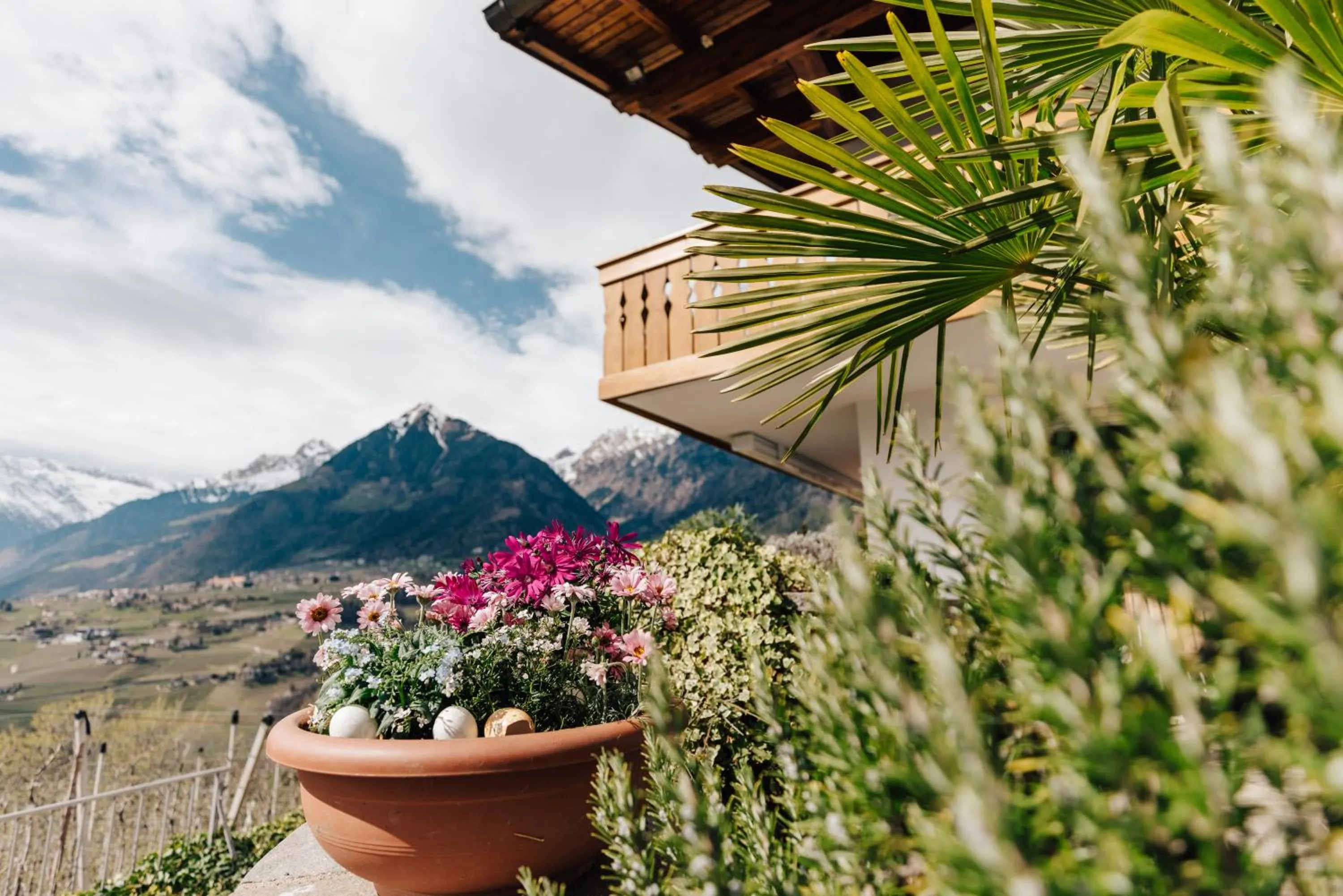 Mountain view in Apartments Bachmair