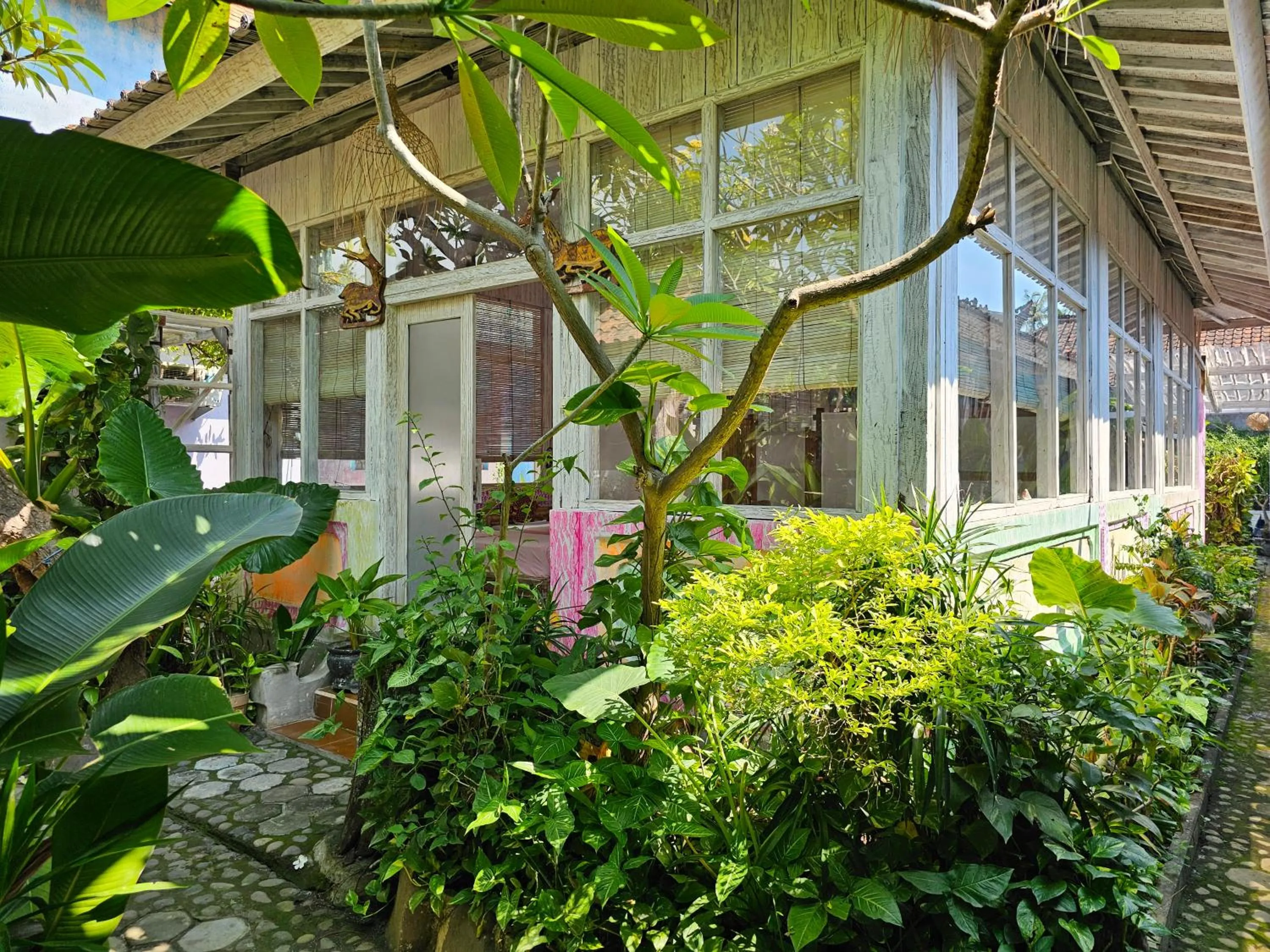 Garden in Lovina Loca