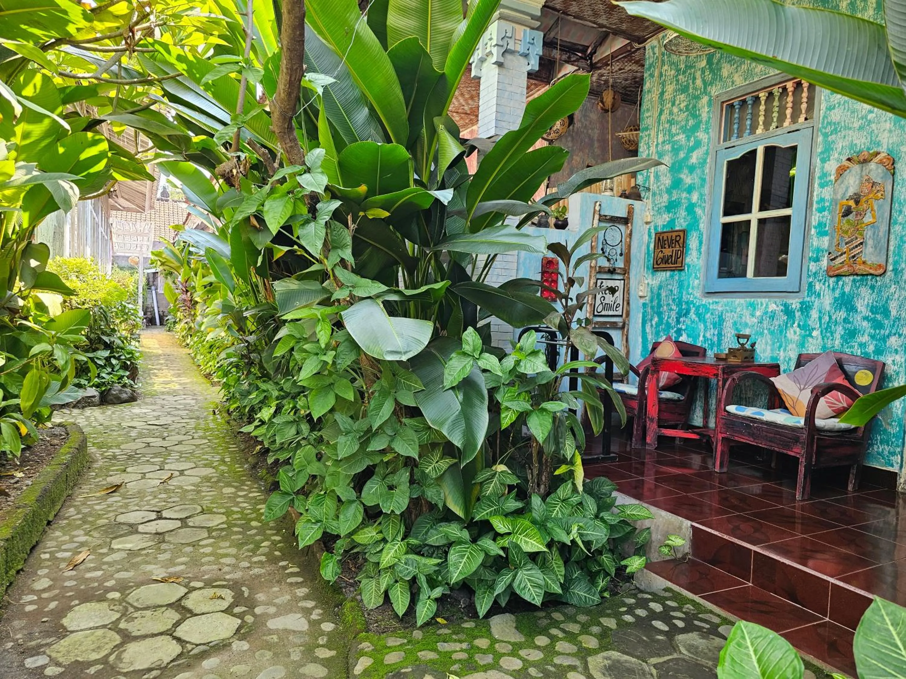 Garden in Lovina Loca