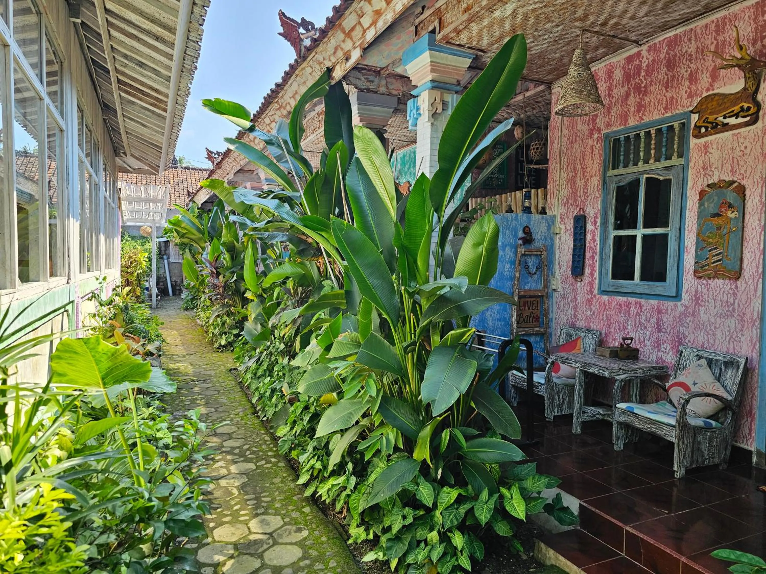 Garden in Lovina Loca