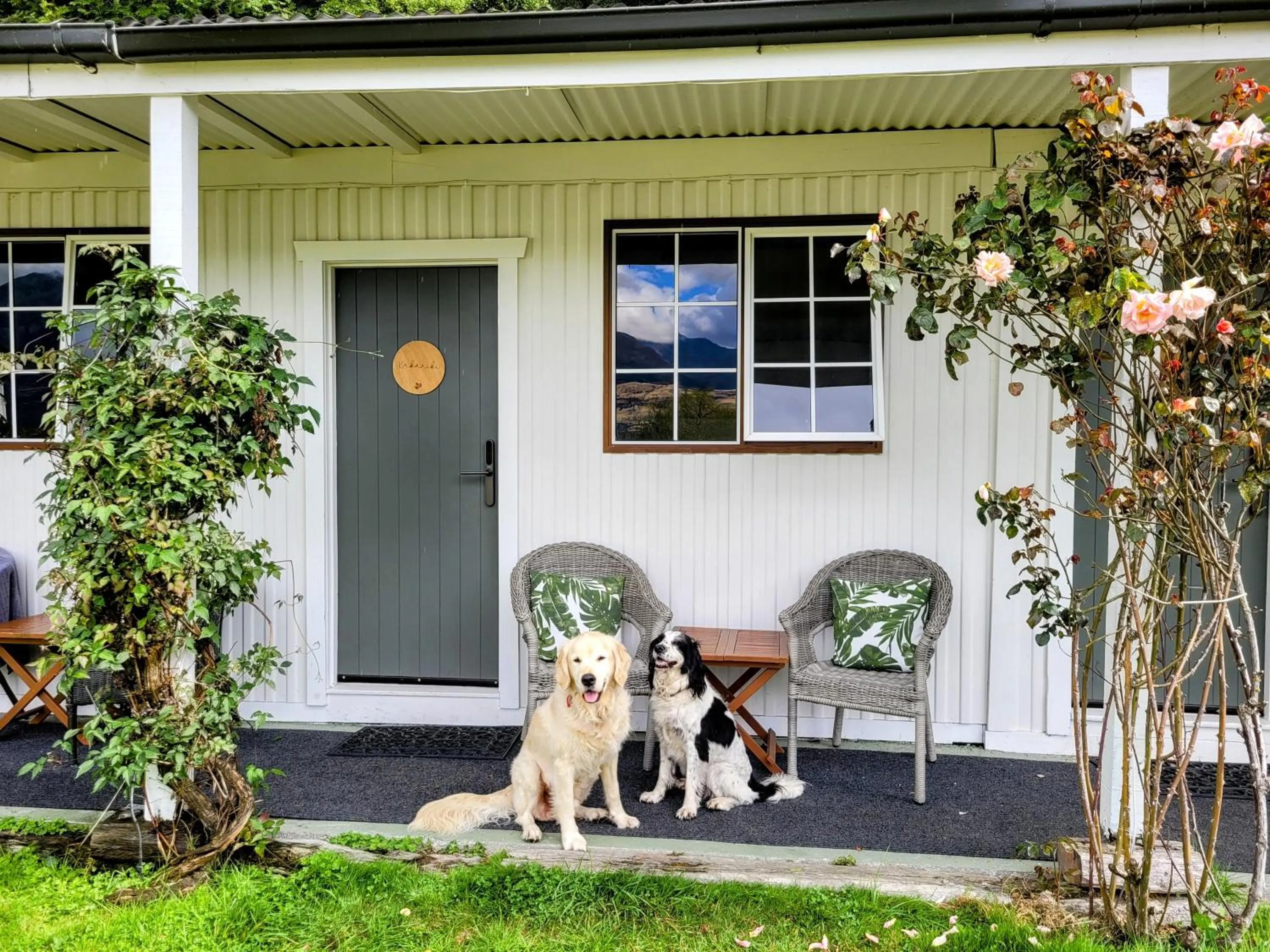 pet friendly in Kinloch Wilderness Retreat
