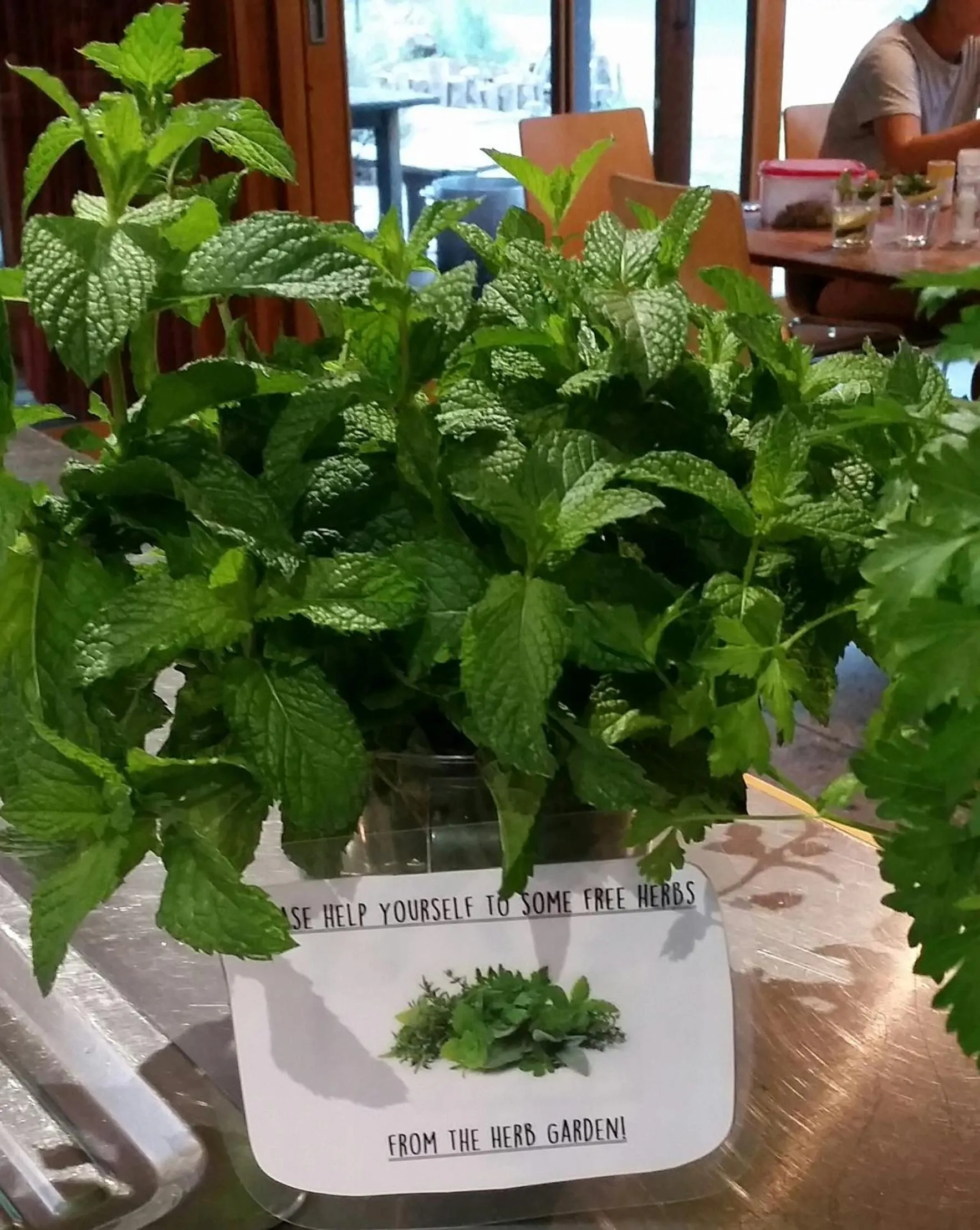 Garden in YHA Grampians Eco, Halls Gap