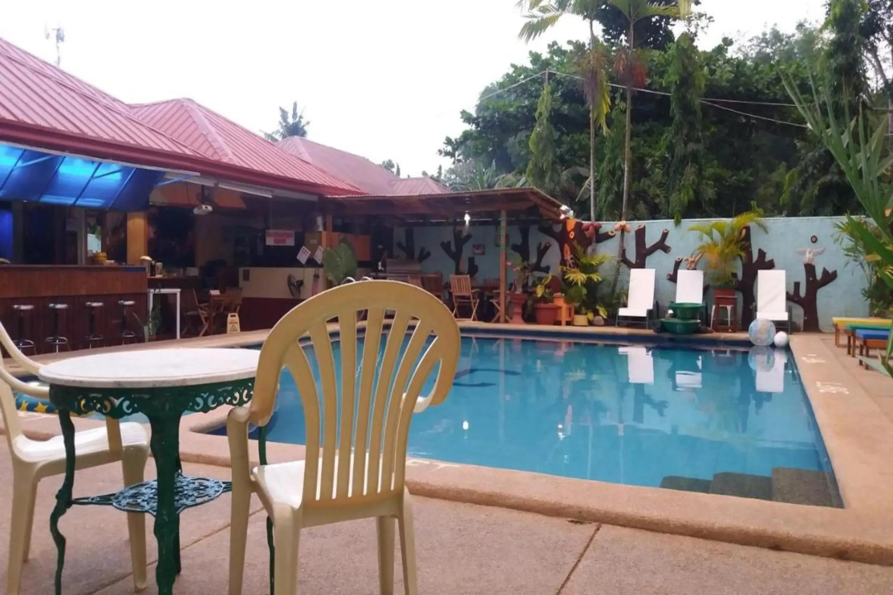 Swimming pool in Citadel Bed and Breakfast Swimming pool in Citadel Bed and Breakfast