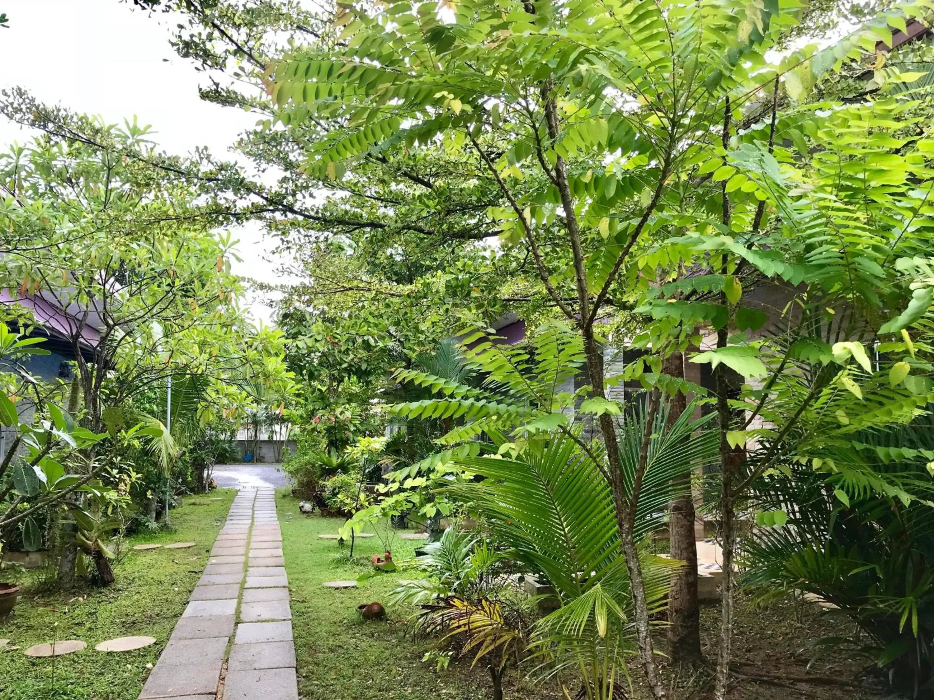 Garden view in Canal Resort Garden view in Canal Resort