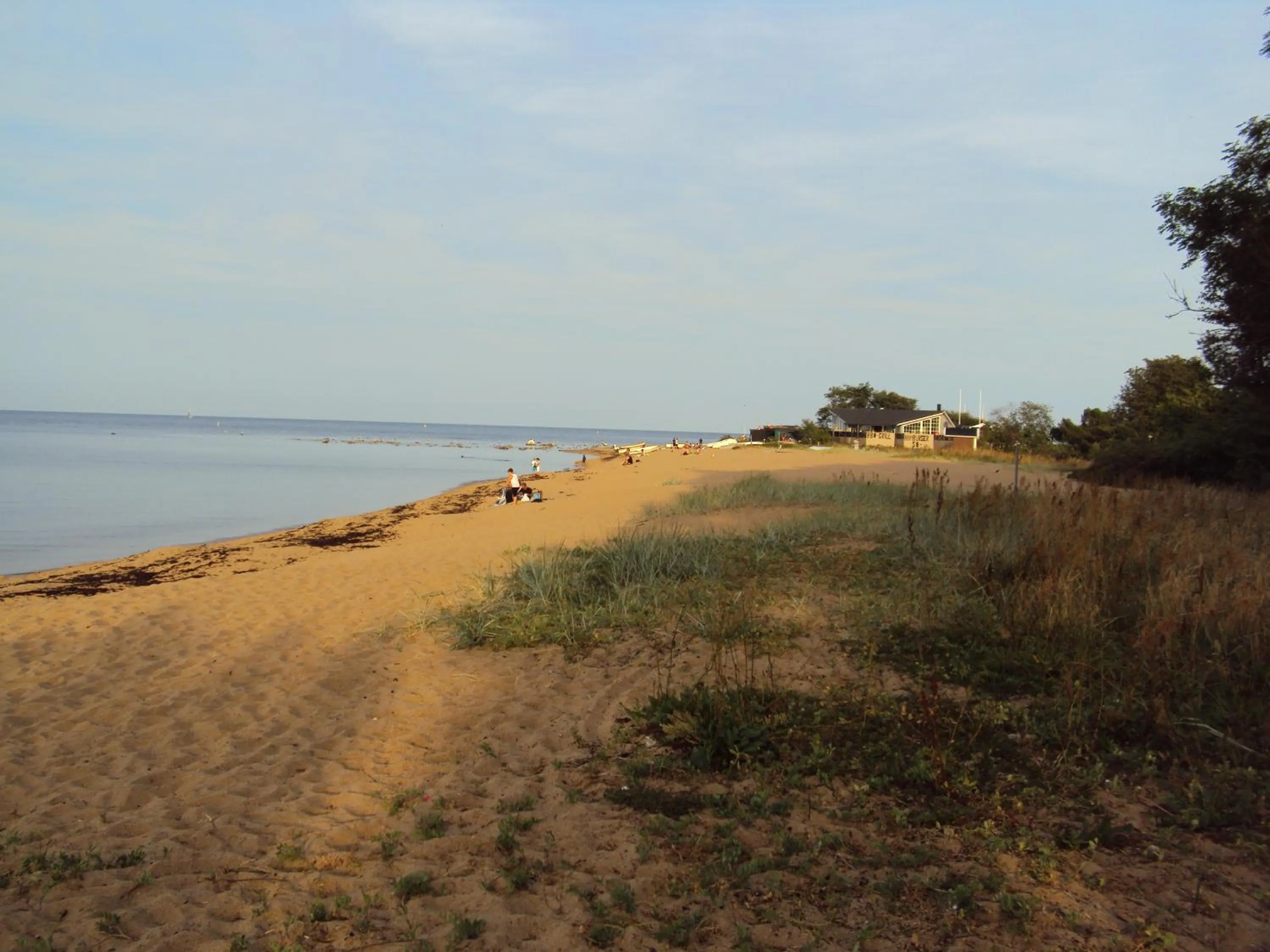 Natural landscape in Hotel Svea, BW Signature Collection