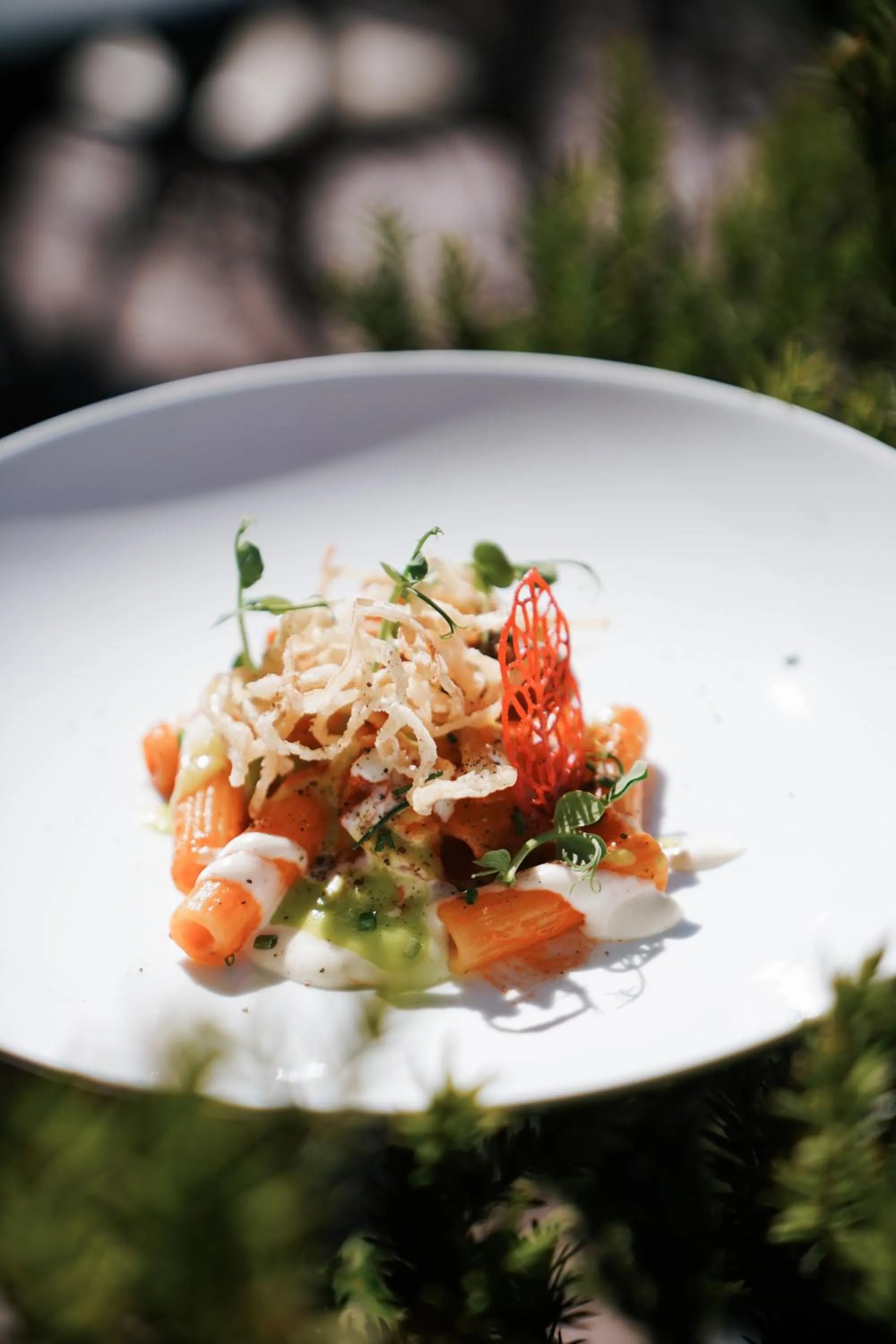 Restaurant/places to eat in Hotel Sun Valley