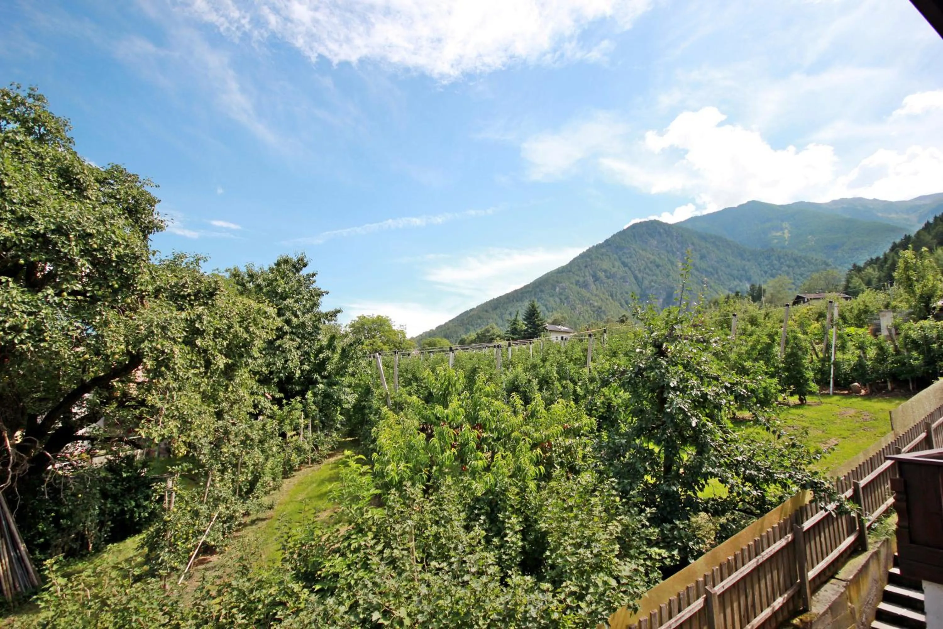 View (from property/room) in Residence Karpoforus