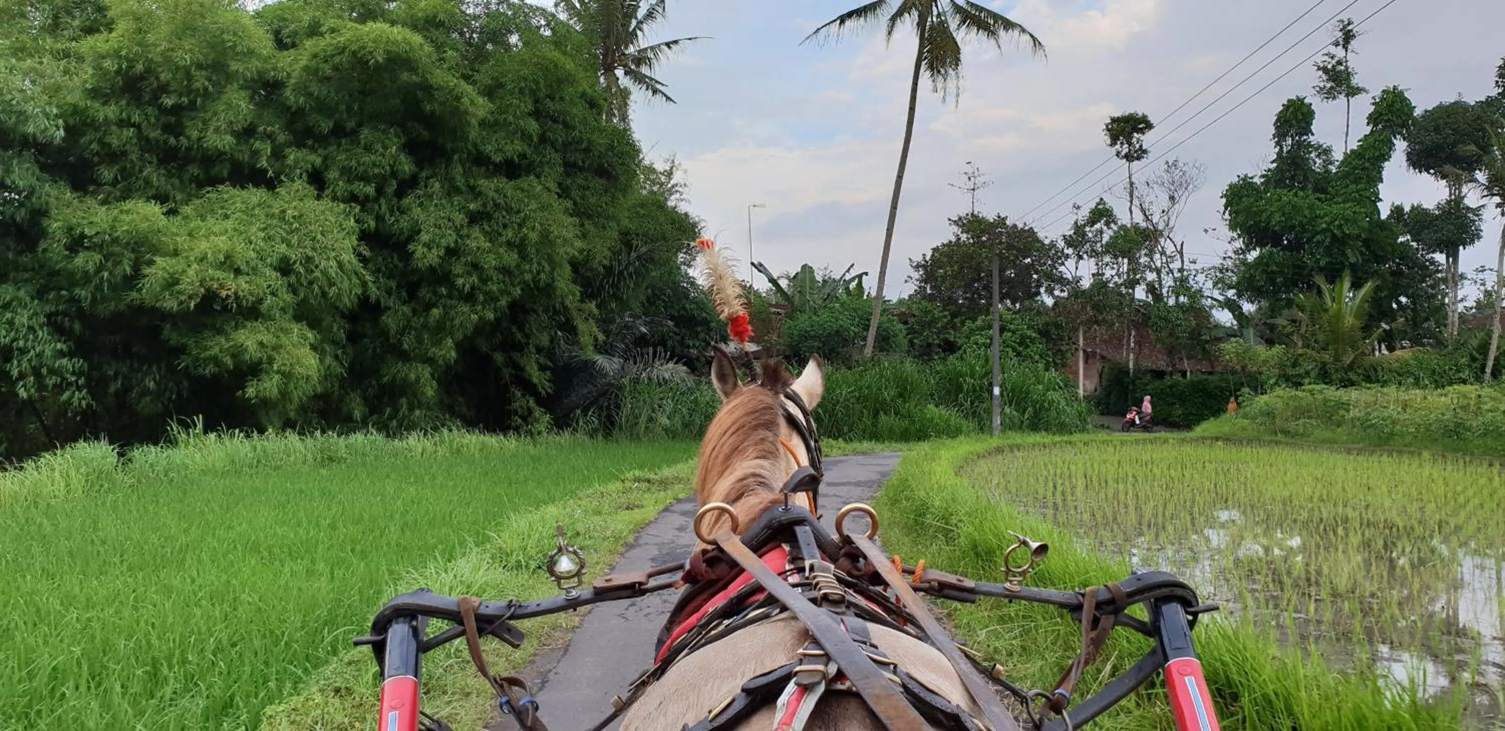 Borobudur Bed & Breakfast