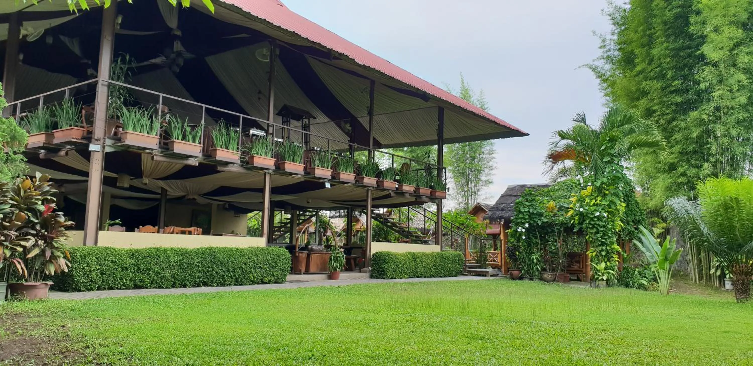 Borobudur Bed & Breakfast