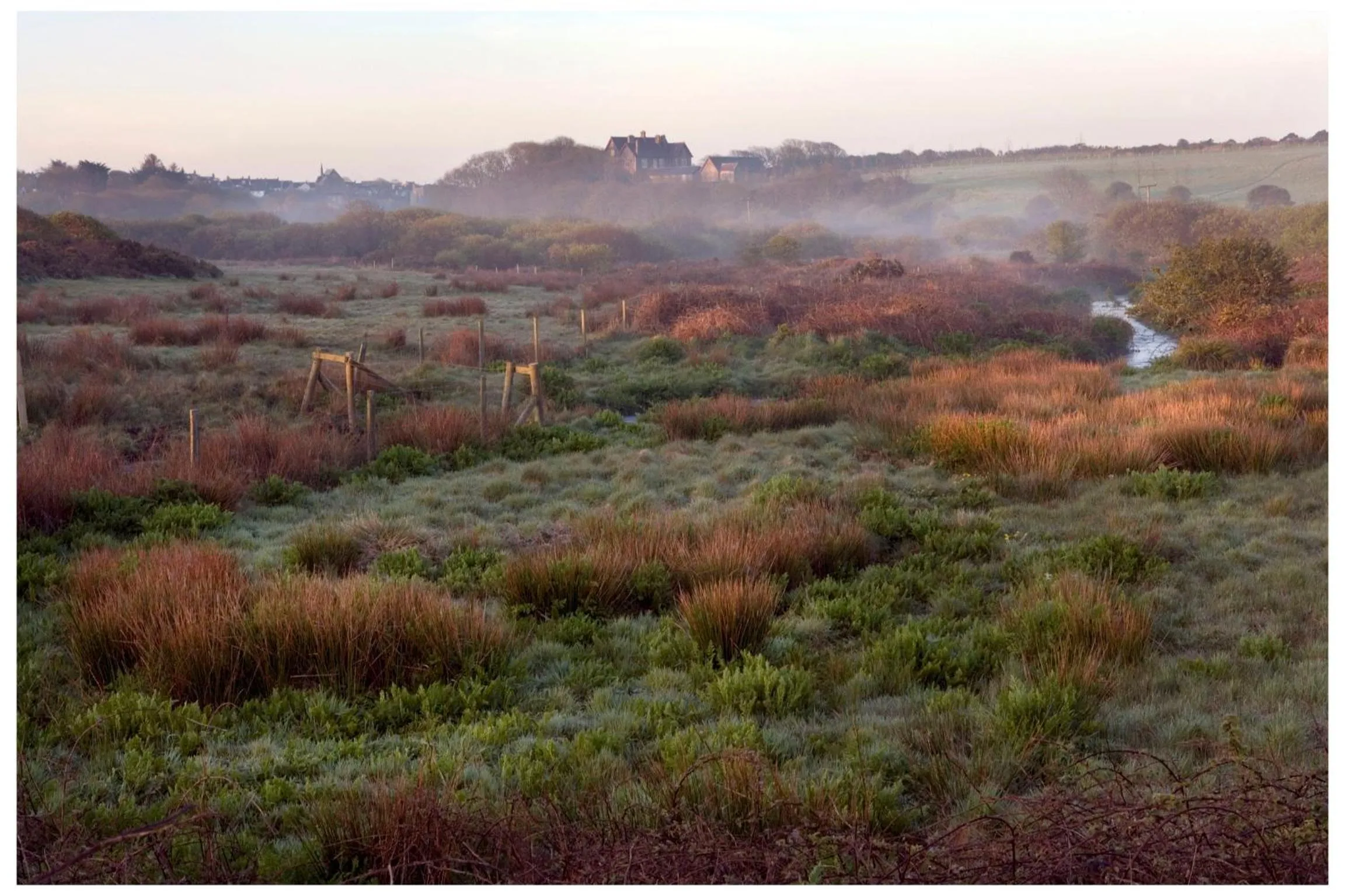 Natural landscape in Penrhiw Priory