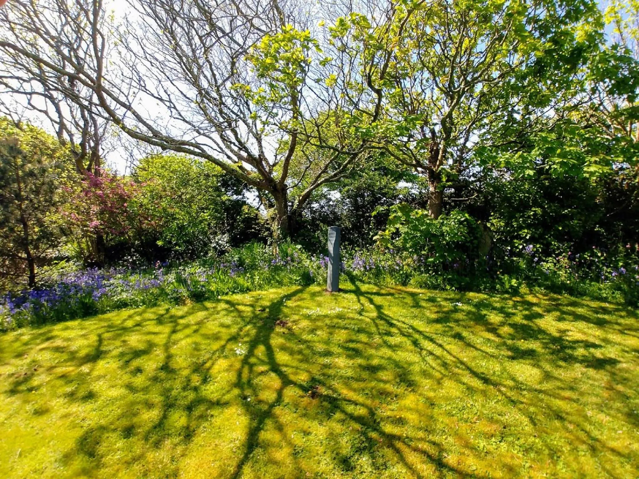 Garden in Penrhiw Priory