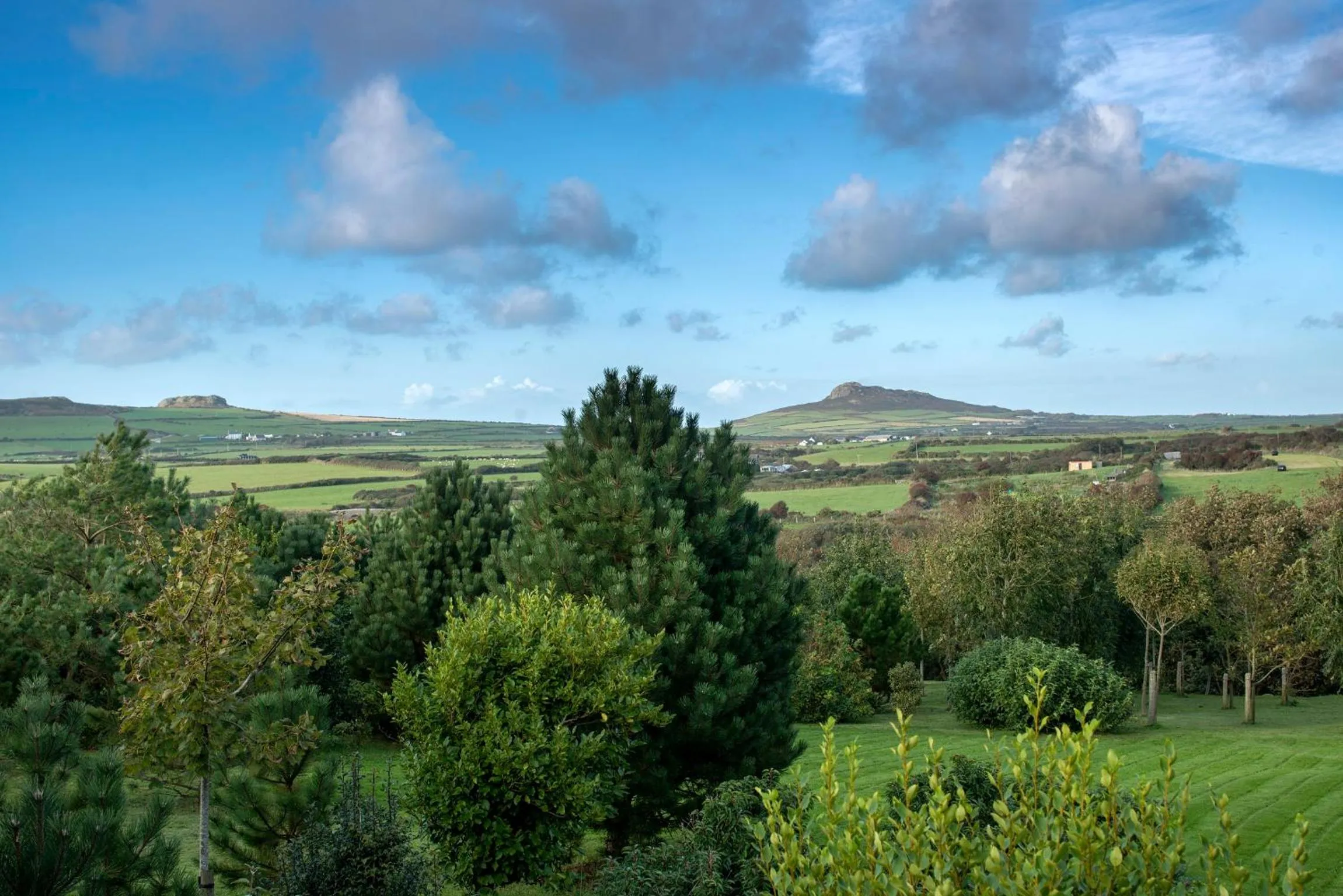 Natural landscape in Penrhiw Priory