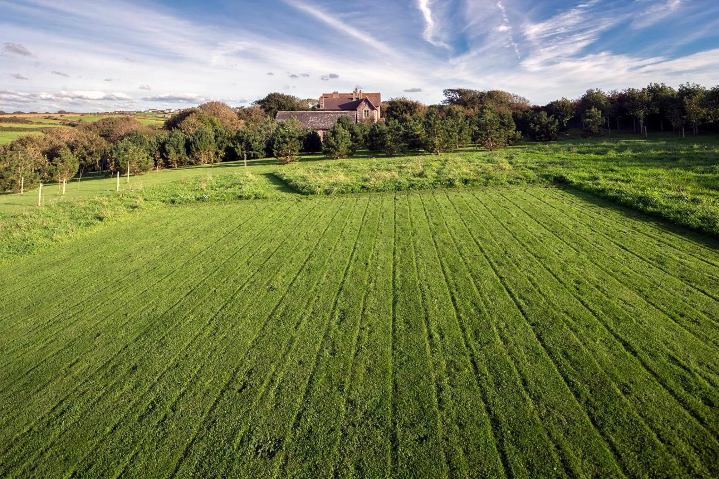 Natural landscape in Penrhiw Priory
