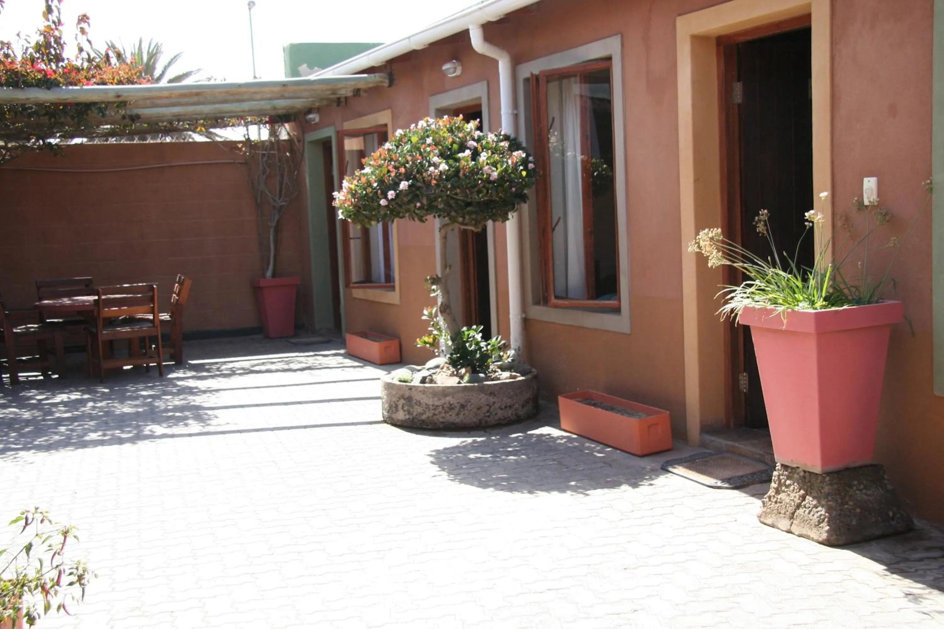 Garden in Dunedin Star Guesthouse