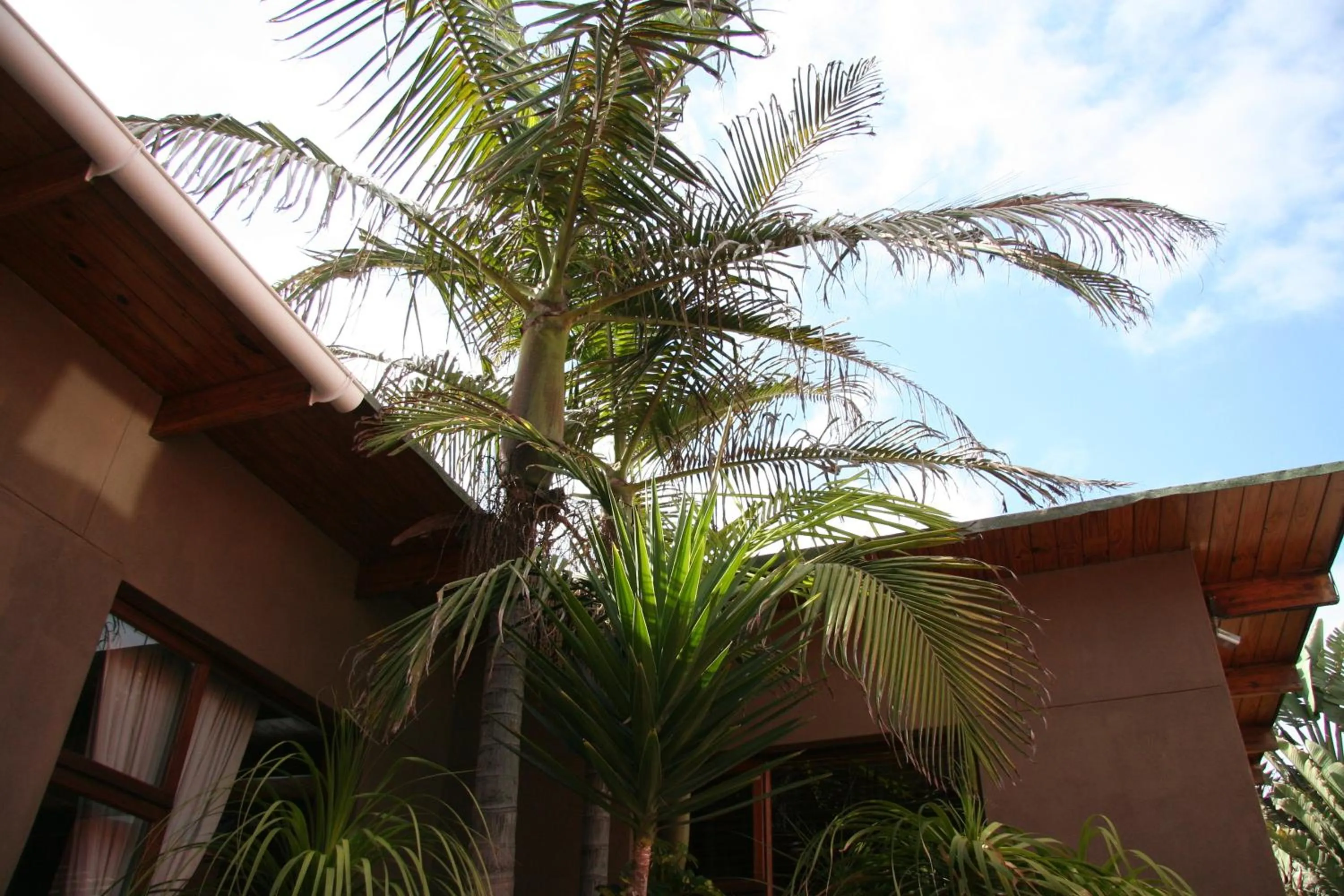 Facade/entrance in Dunedin Star Guesthouse