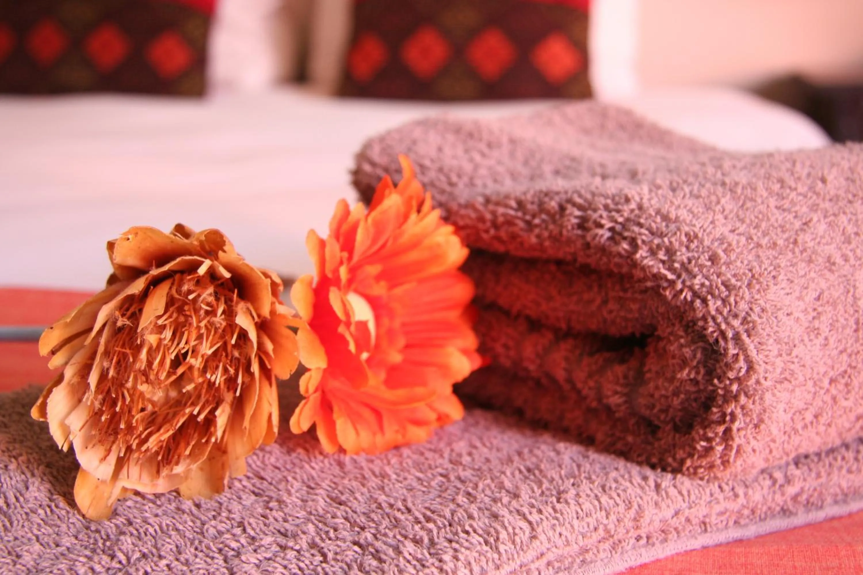 Other in Dunedin Star Guesthouse