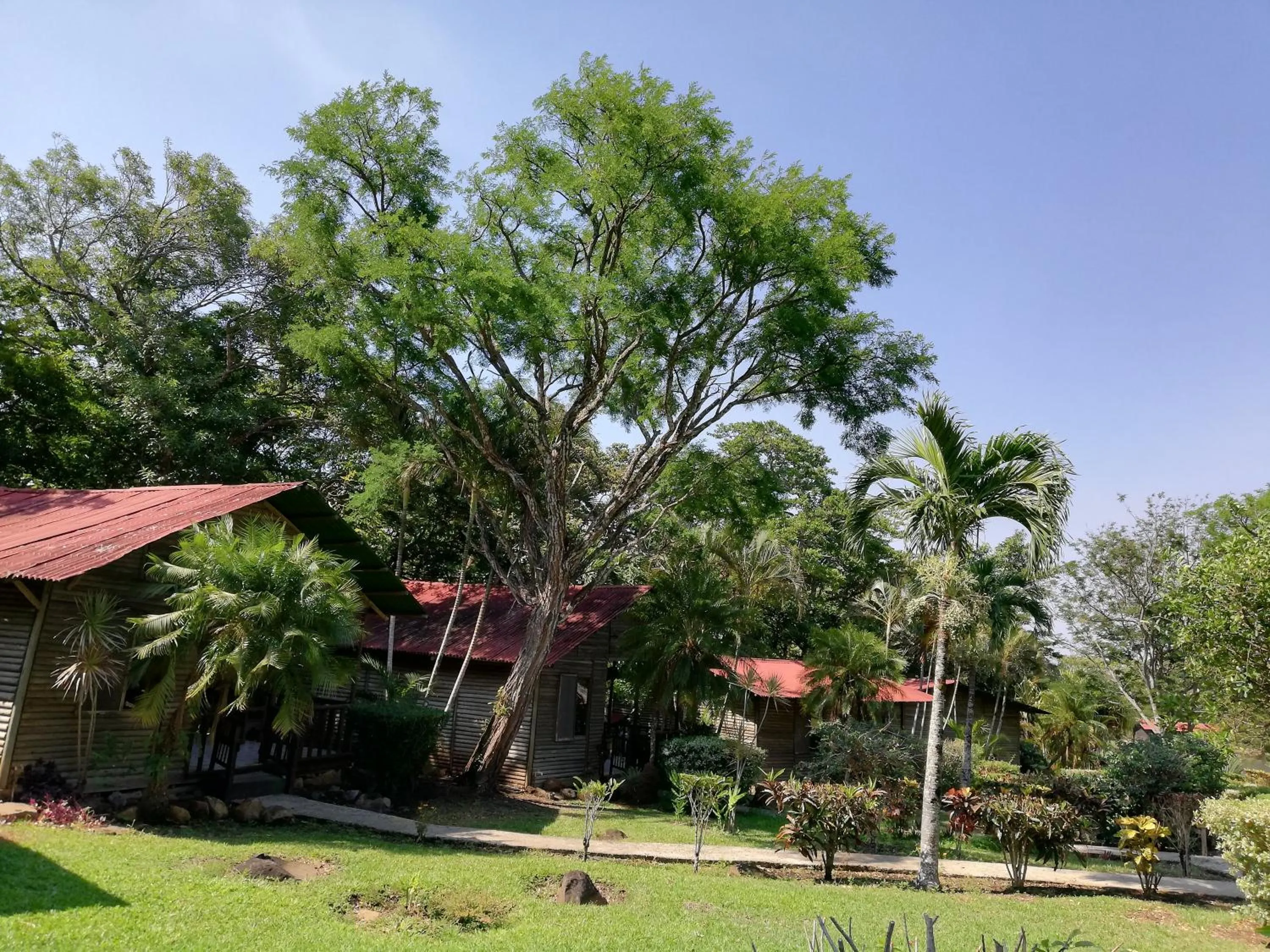 Hotel Rincón de la Vieja Lodge
