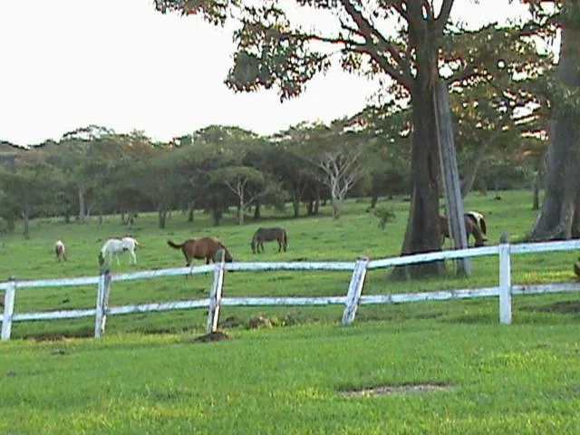 Hotel Rincón de la Vieja Lodge
