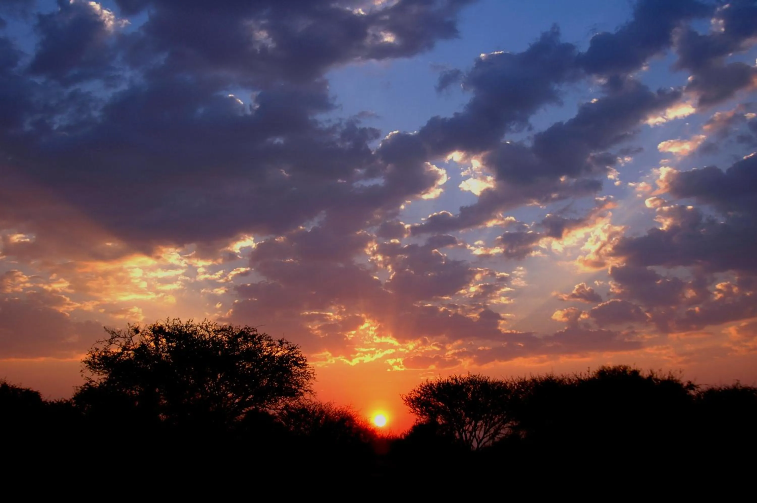 View (from property/room) in Arebbusch Travel Lodge
