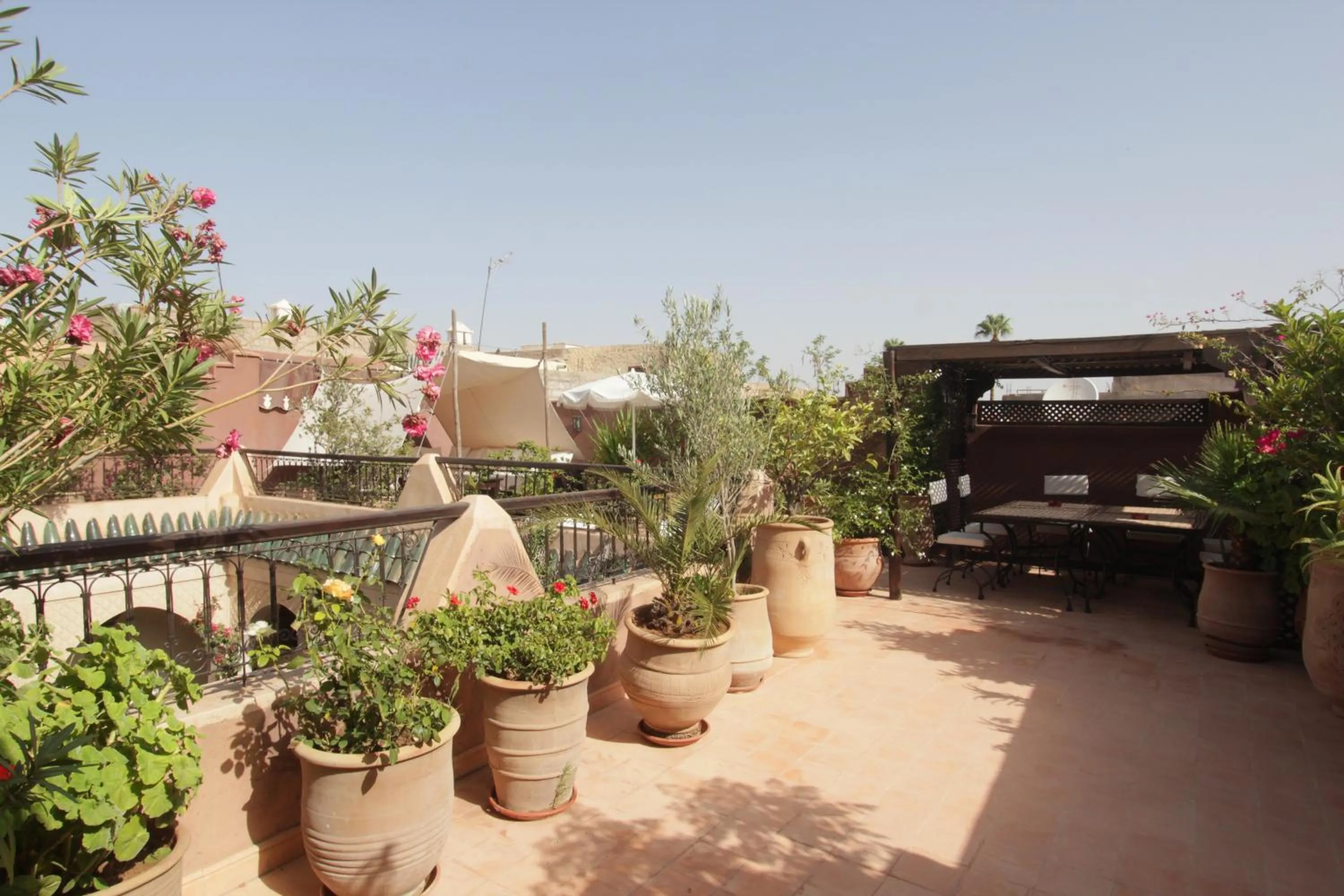 Balcony/Terrace in Riad Massiba