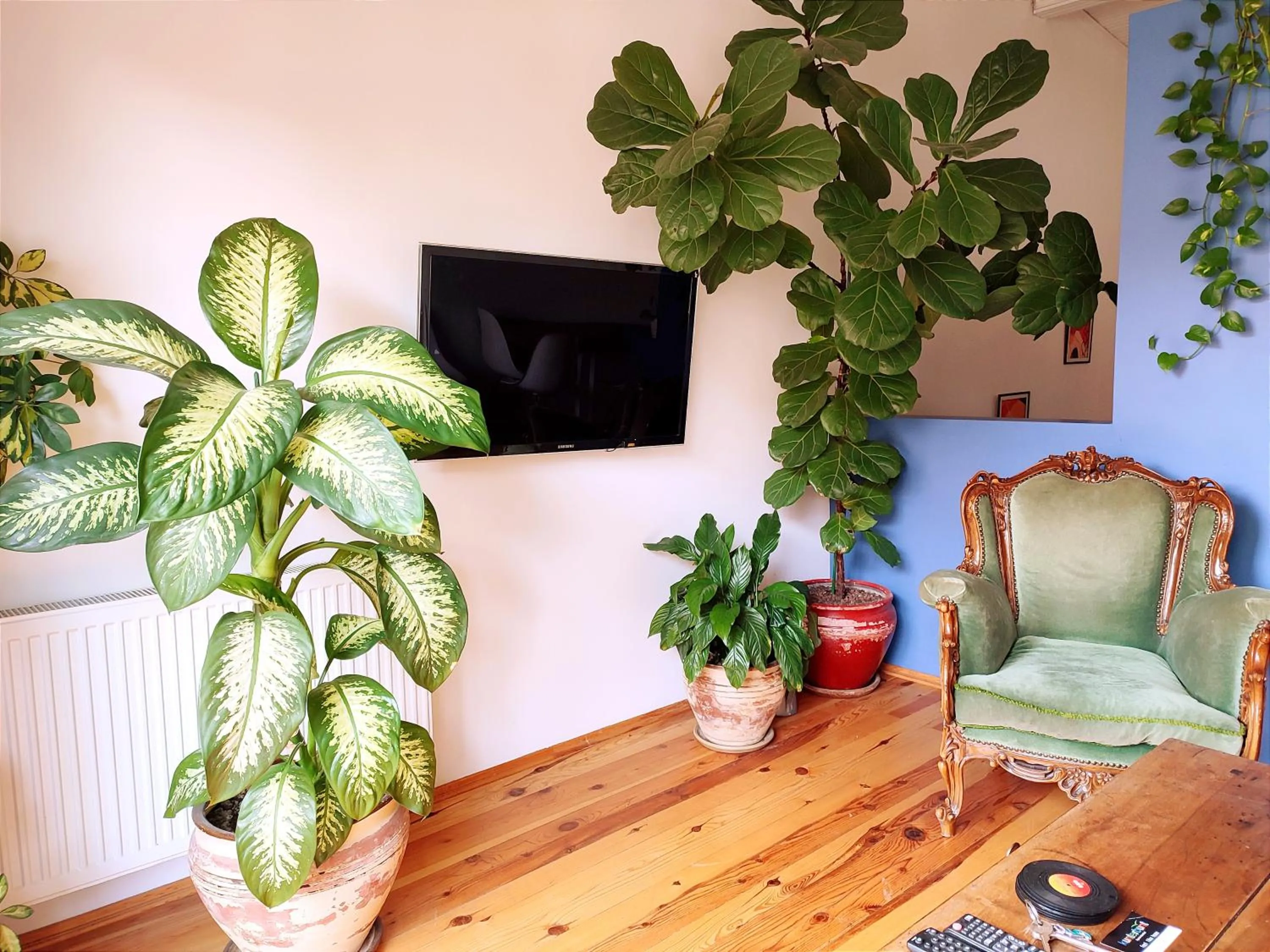 TV and multimedia in Kunterbunt Istanbul