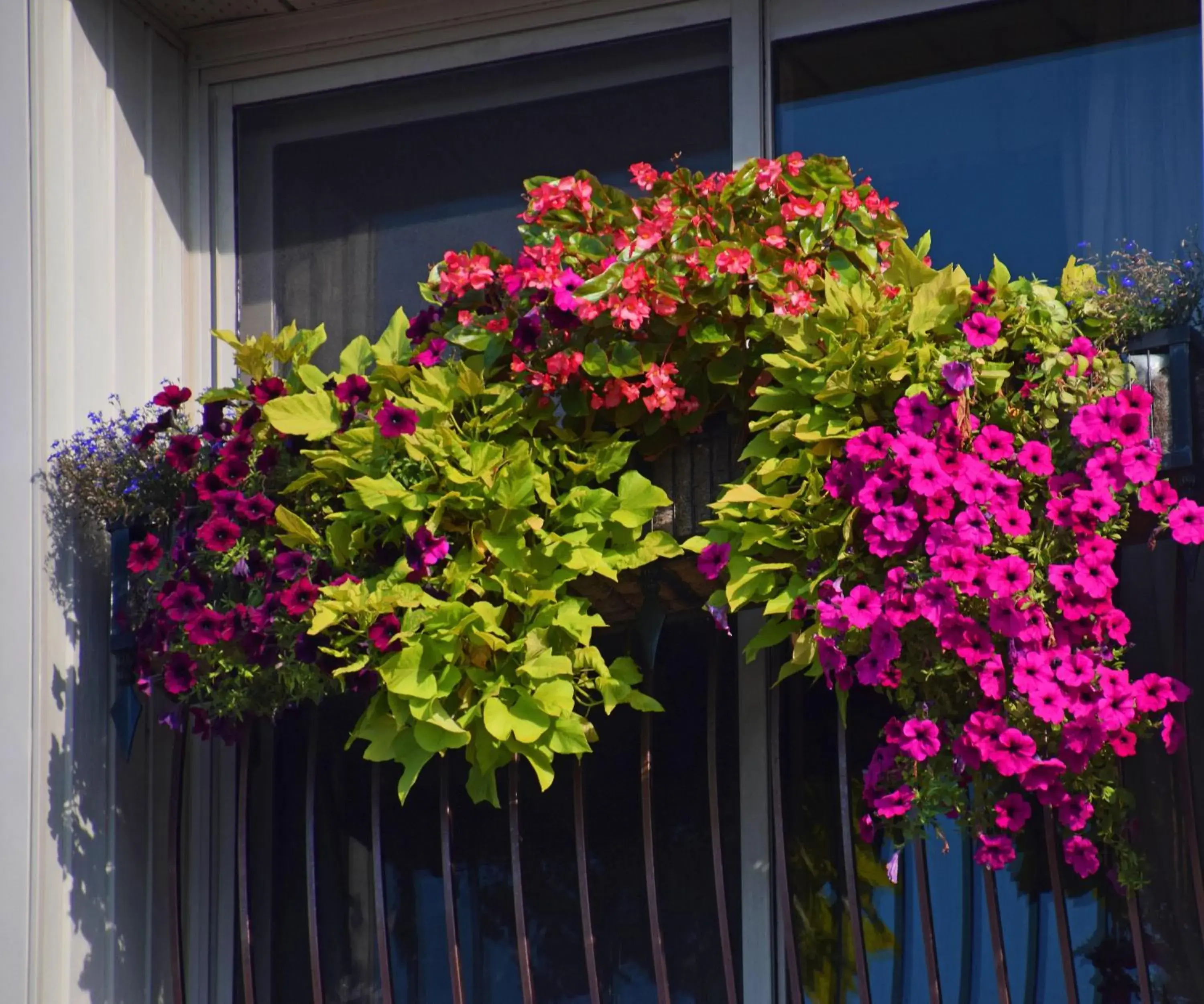 Bird's eye view in Stone Gate Inn Bird's eye view in Stone Gate Inn