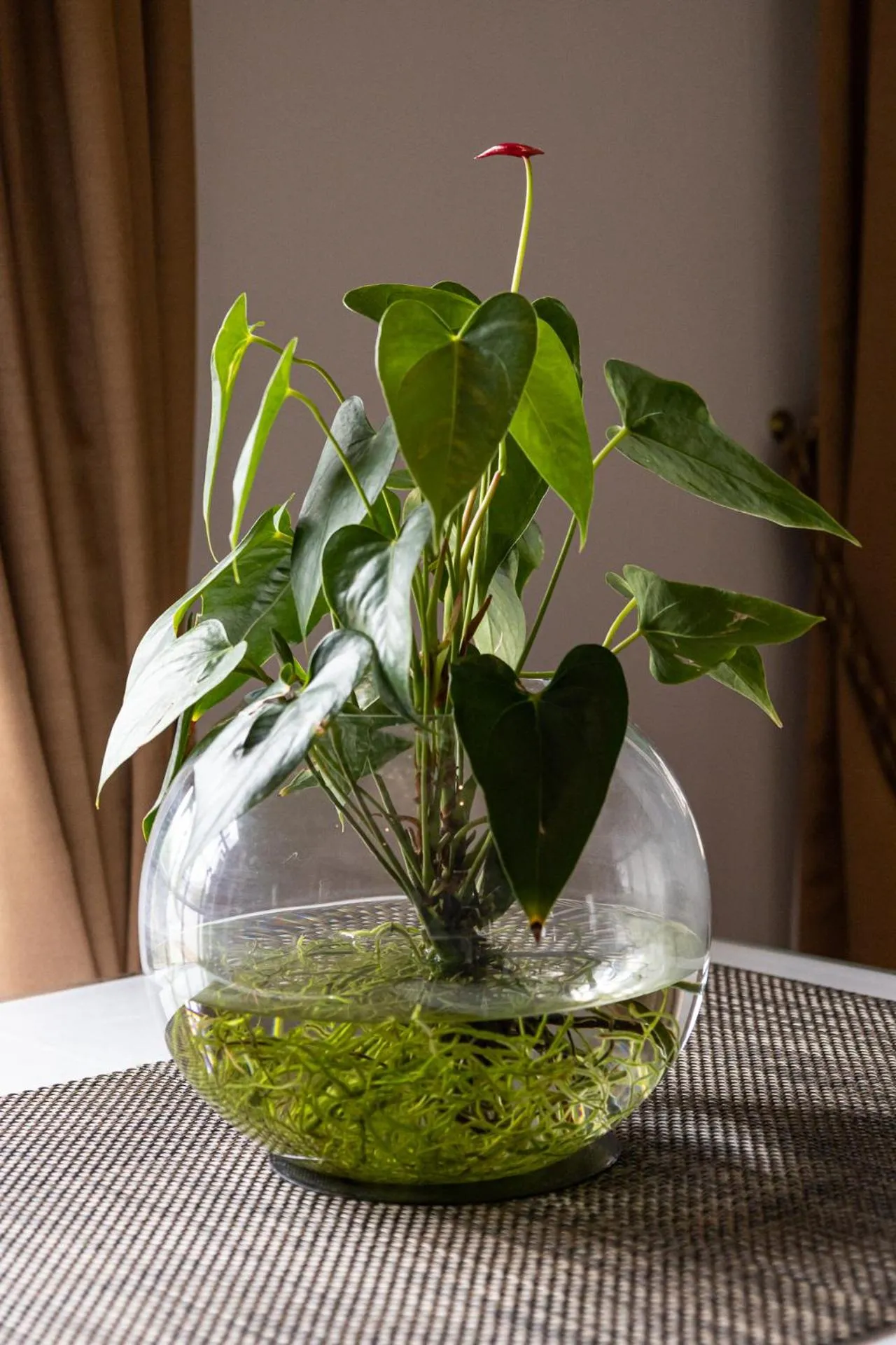 Decorative detail in Cape Village Lodge