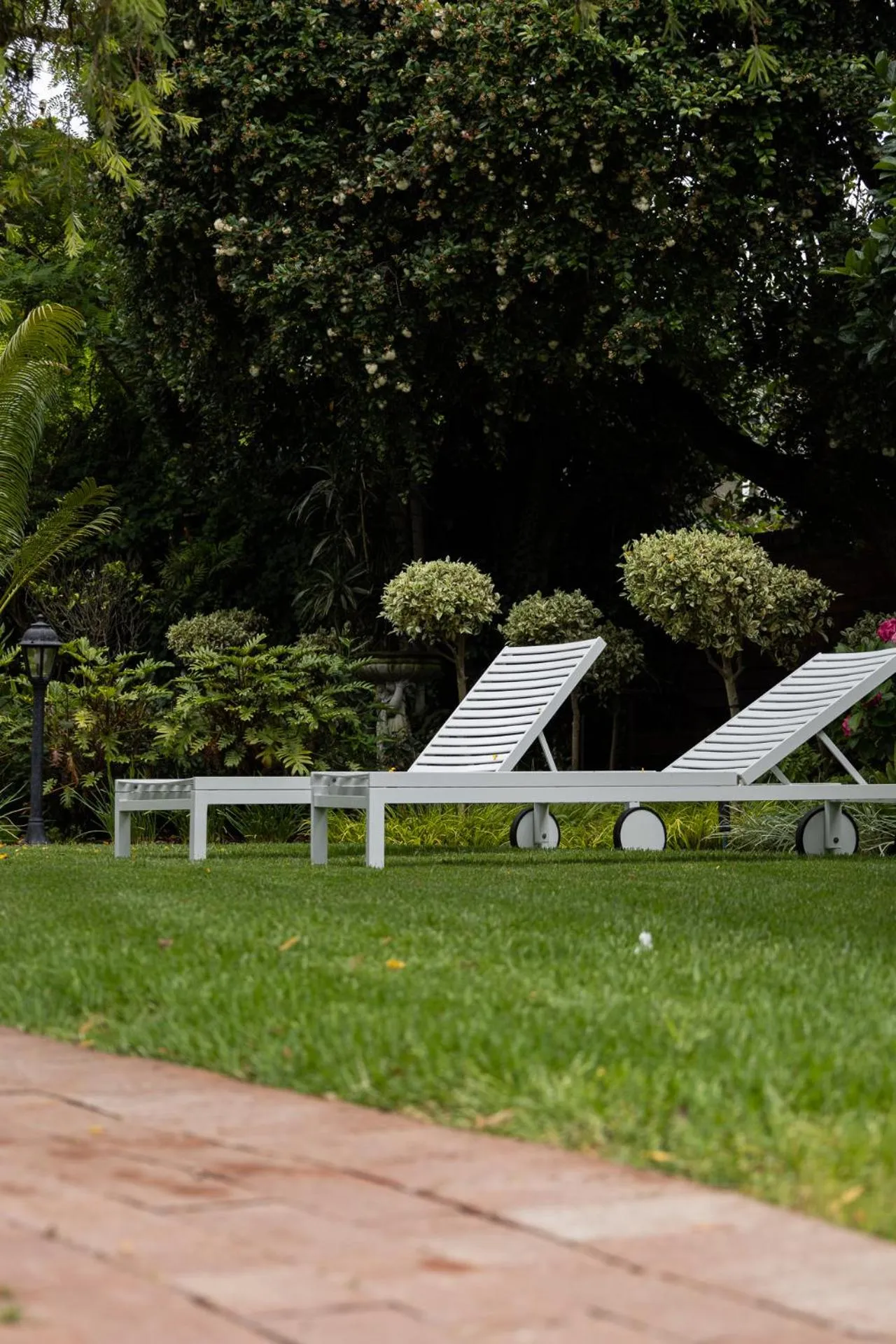 Garden in Cape Village Lodge